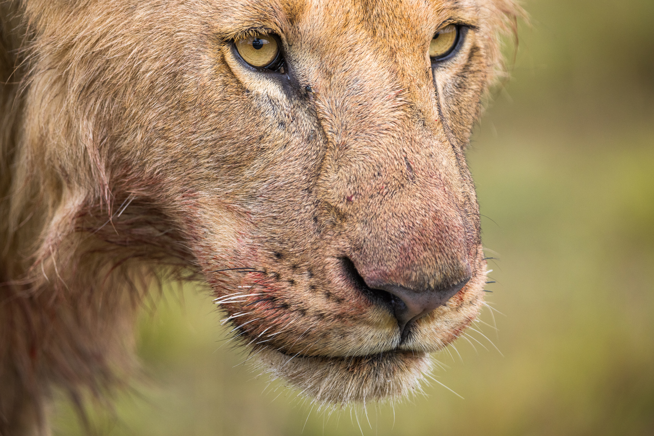 08593029122025363 ©SimonePaleari