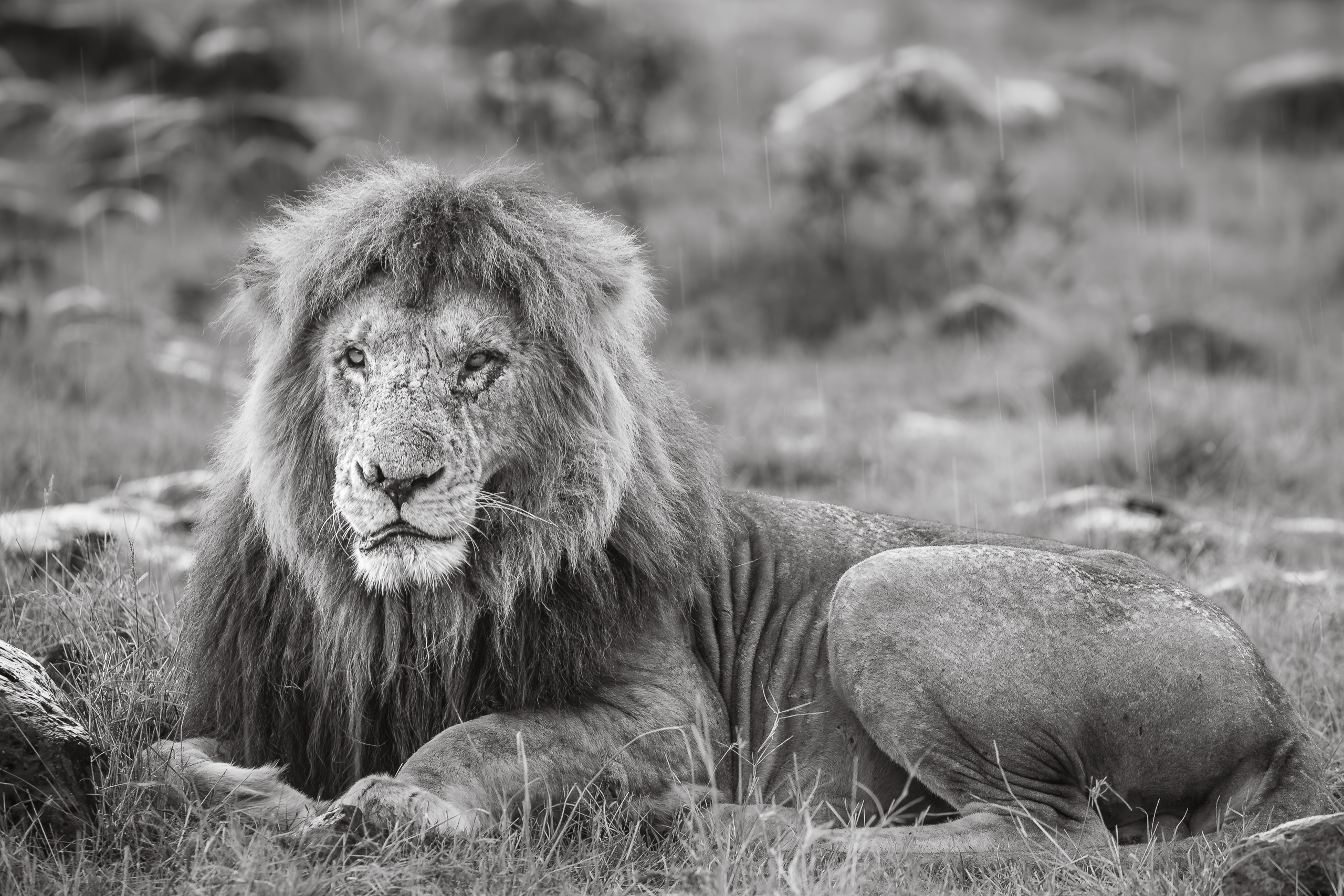 16370829122025363 2©SimonePaleari