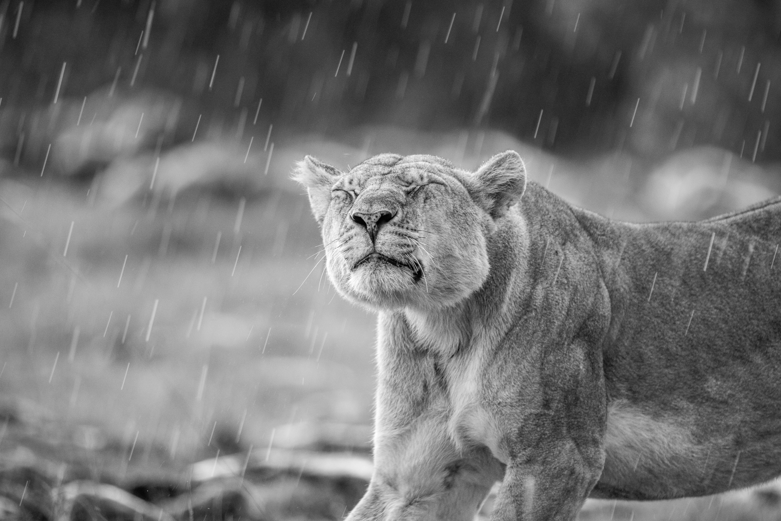 16443229122025363 2©SimonePaleari