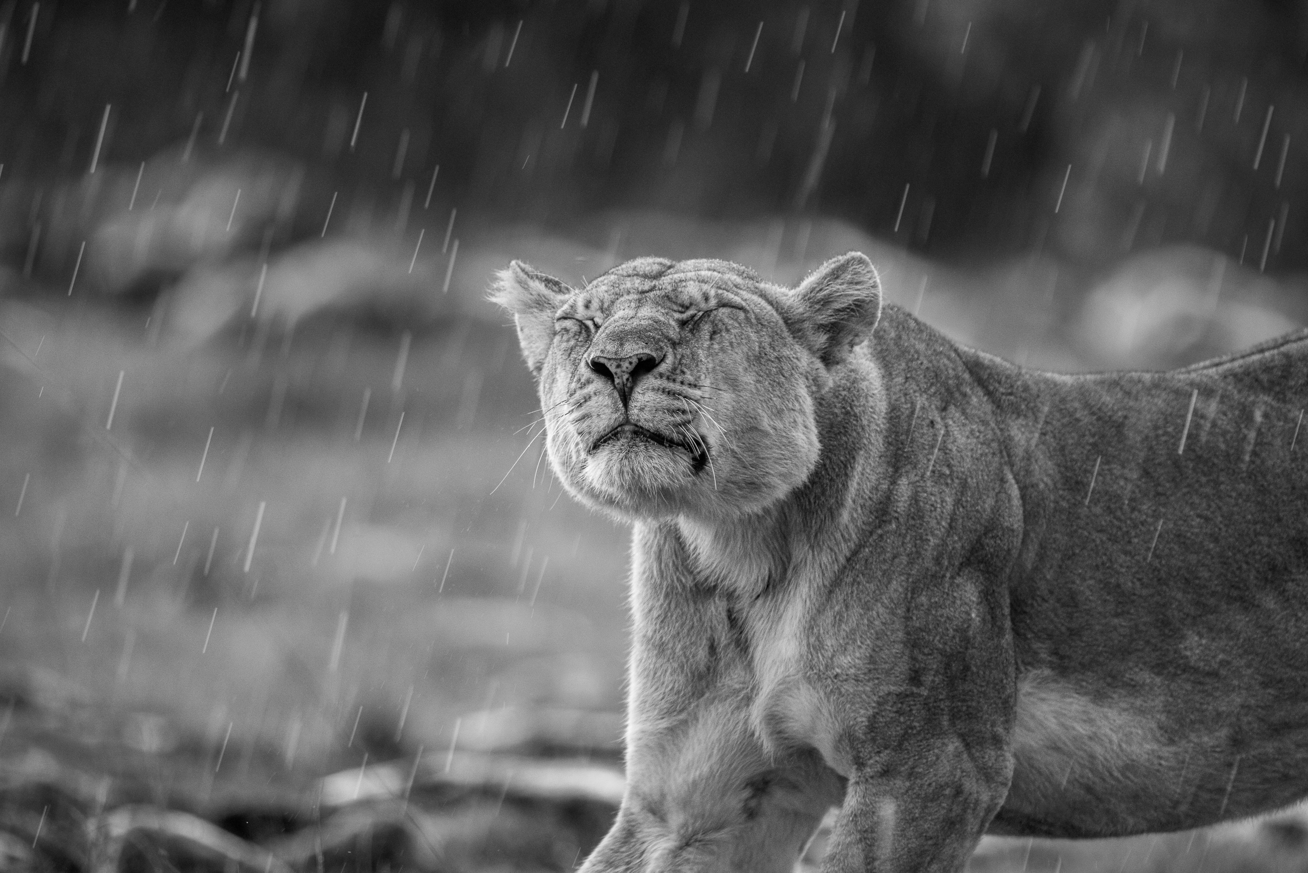 16443229122025363 ©SimonePaleari