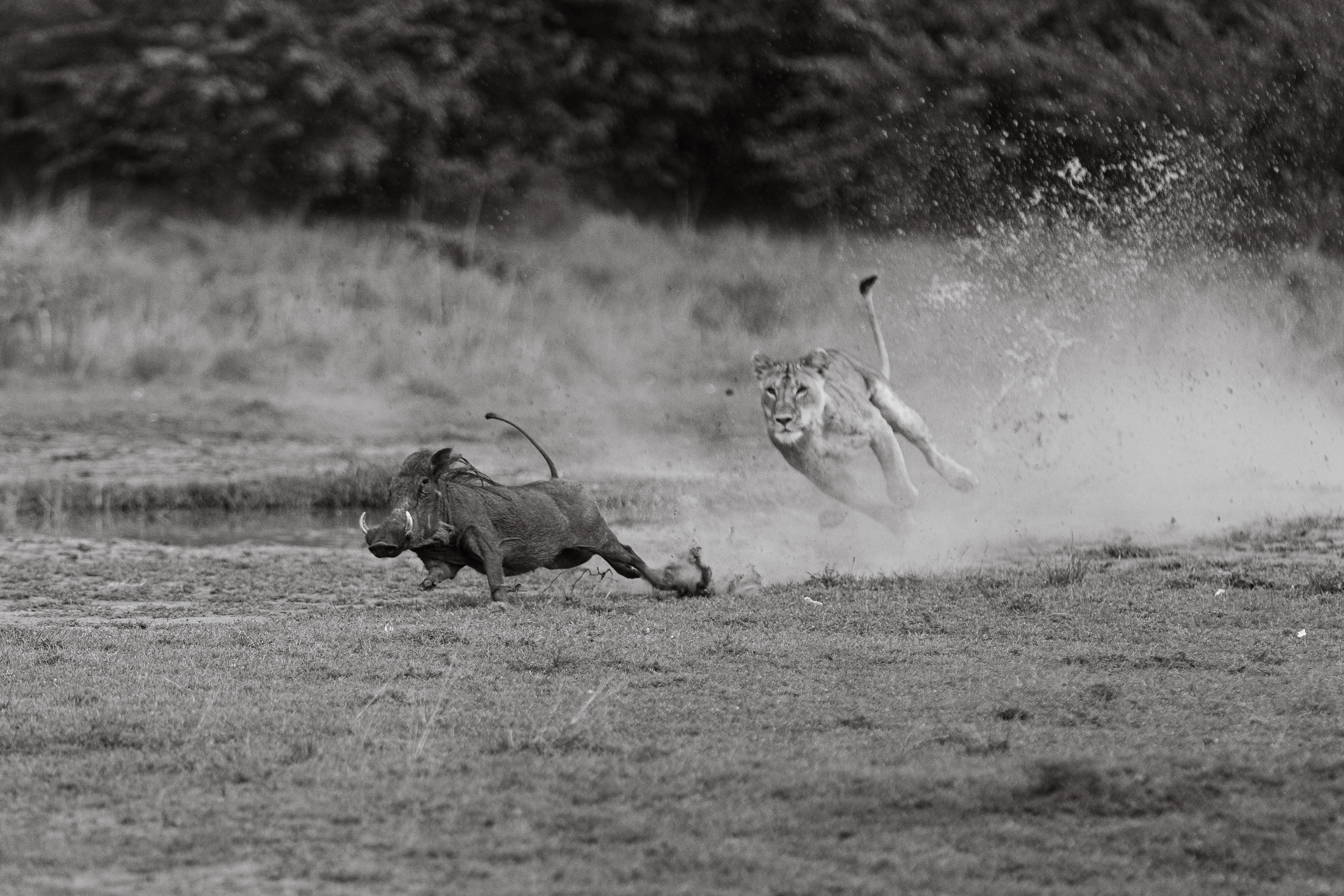 17143804012026004 ©SimonePaleari 2