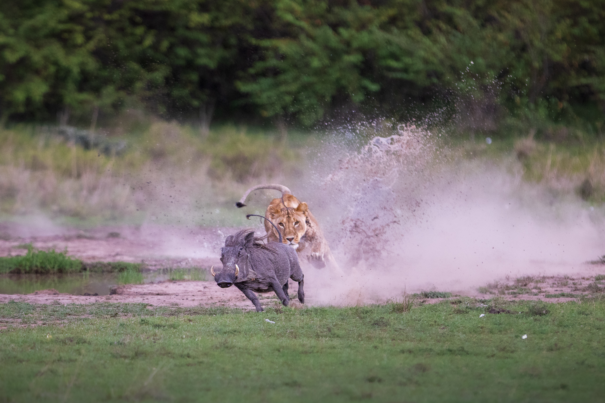 17143804012026004 ©SimonePaleari