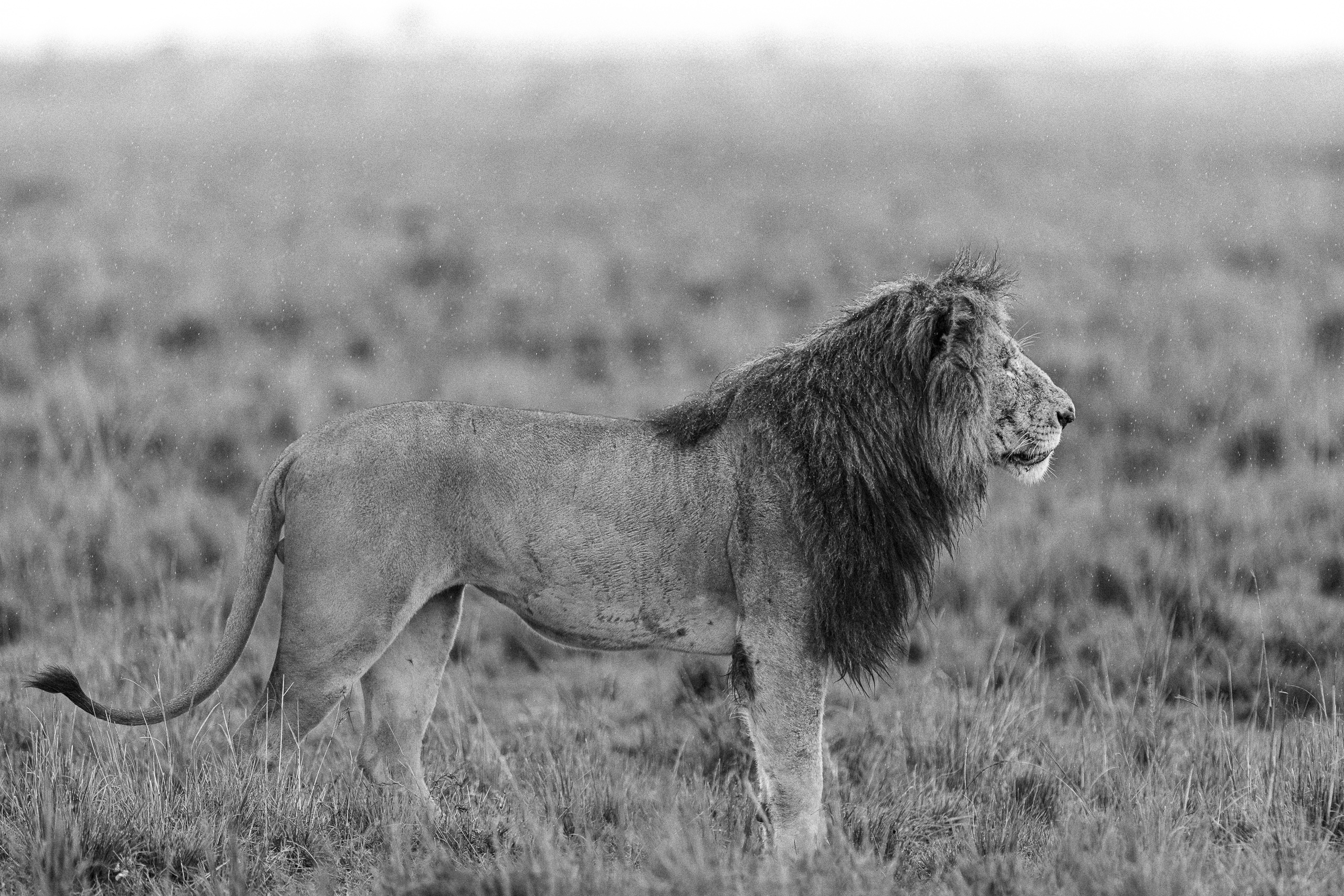 17293230122025364 2©SimonePaleari