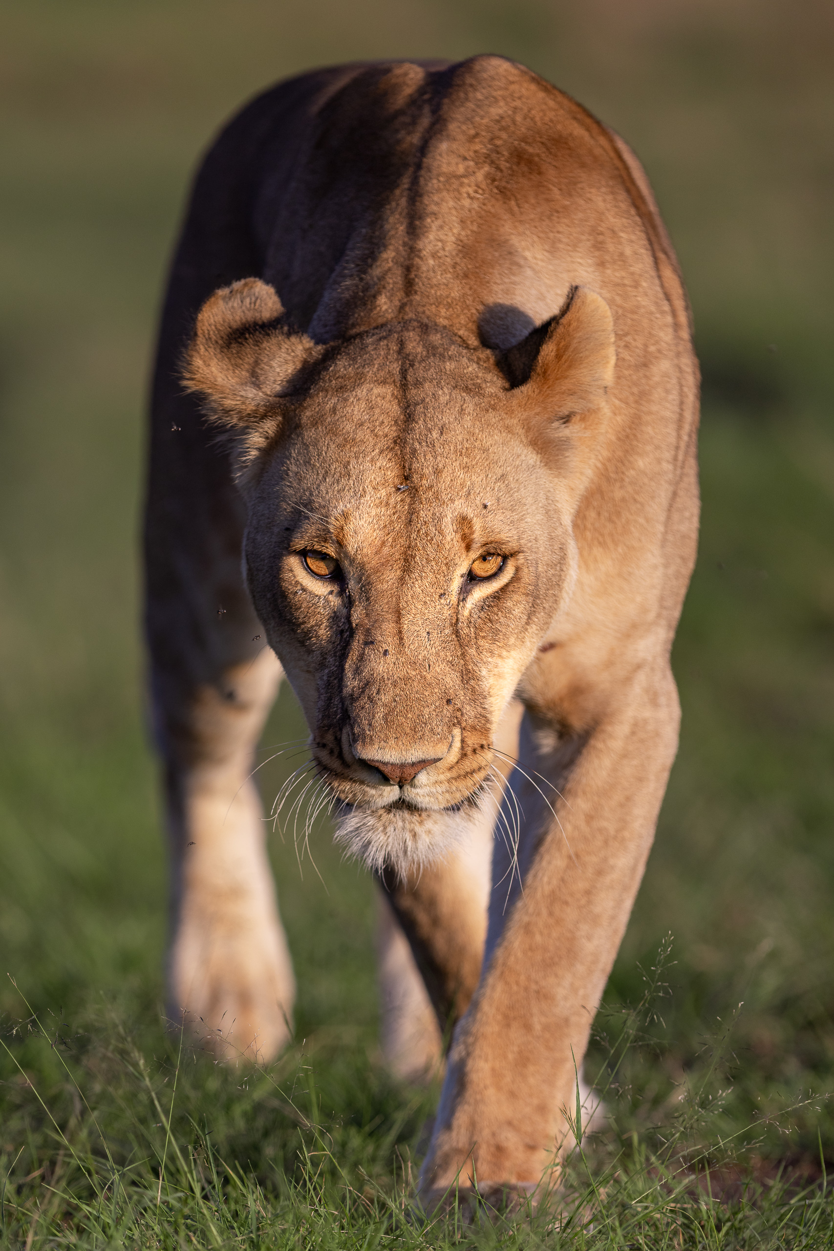 18105503012026003 ©SimonePaleari