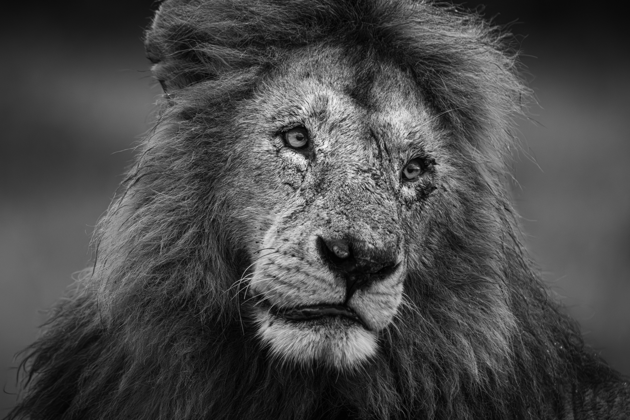 18352230122025364 ©SimonePaleari