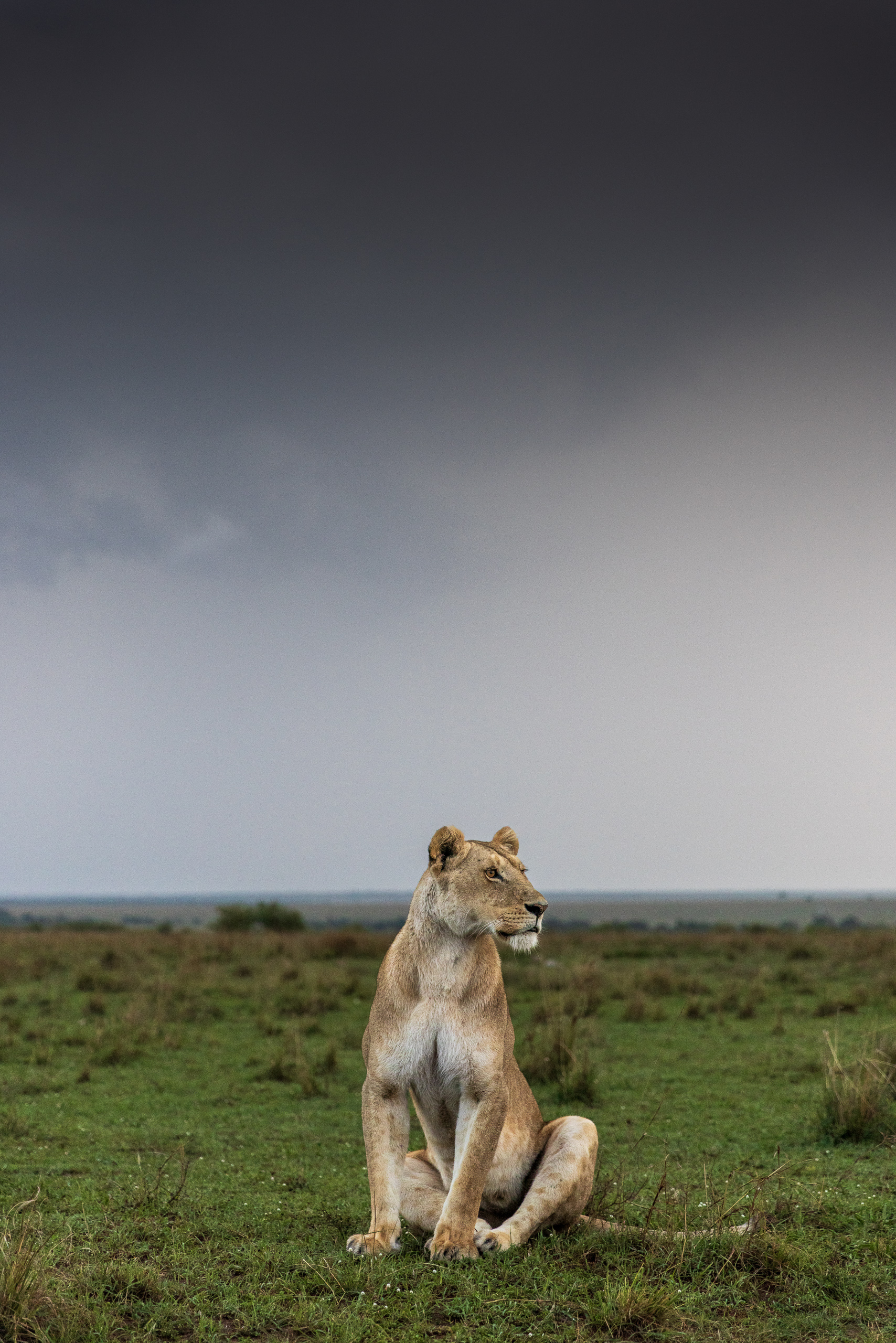 18445204012026004 2©SimonePaleari