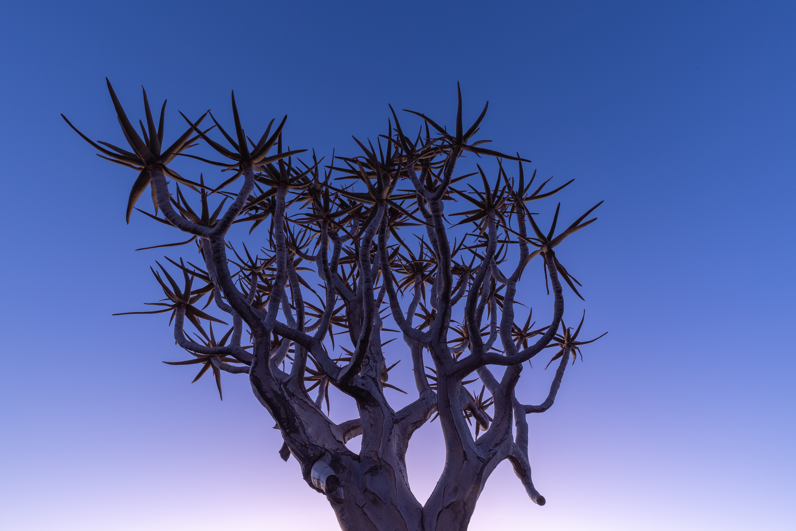 07045506082024219 ©SimonePaleari