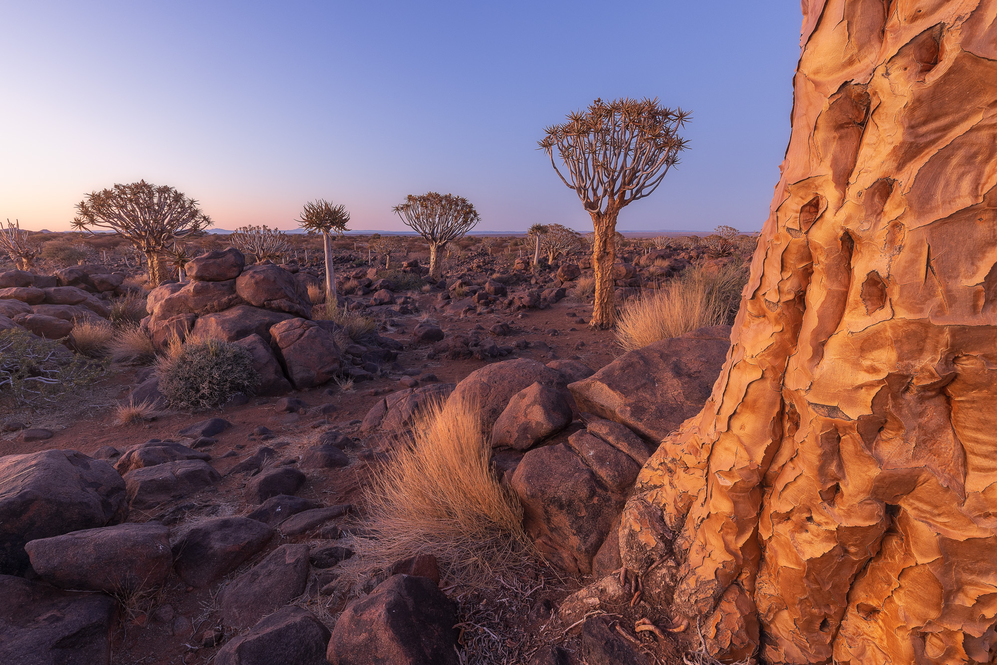 07063106082024219 2©SimonePaleari