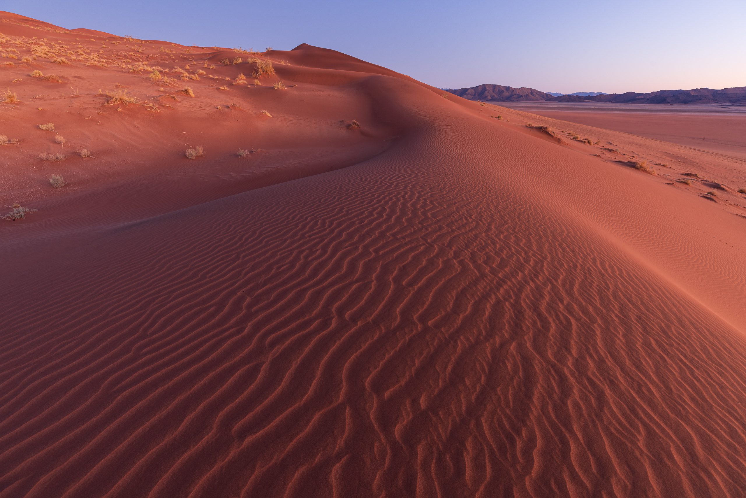 07090709082024222 ©SimonePaleari