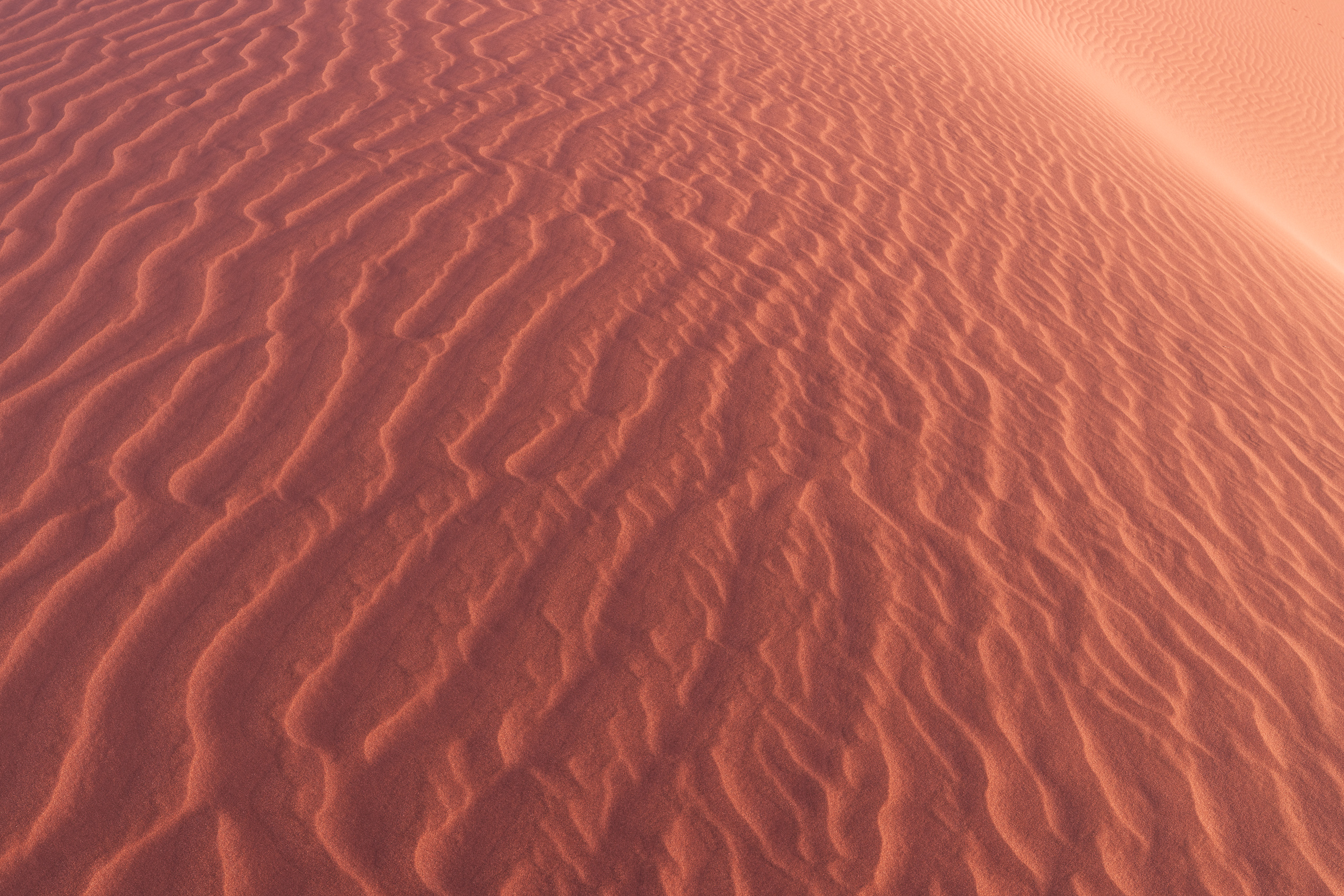 07101909082024222 ©SimonePaleari