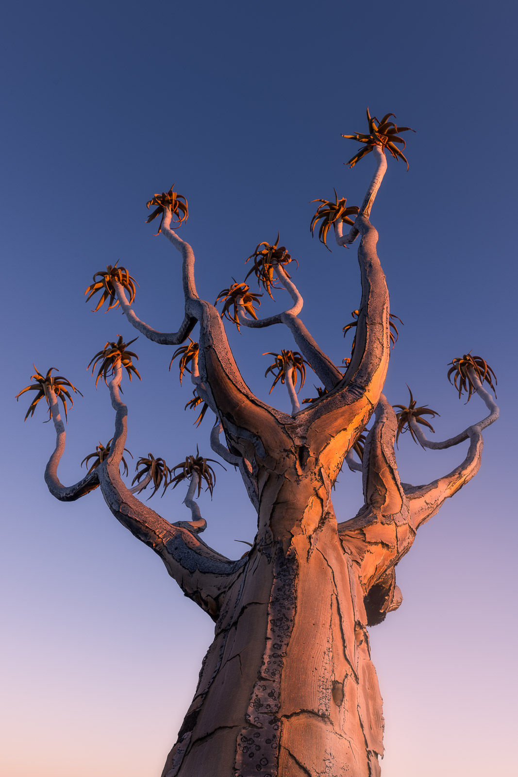 07310406082024219 ©SimonePaleari