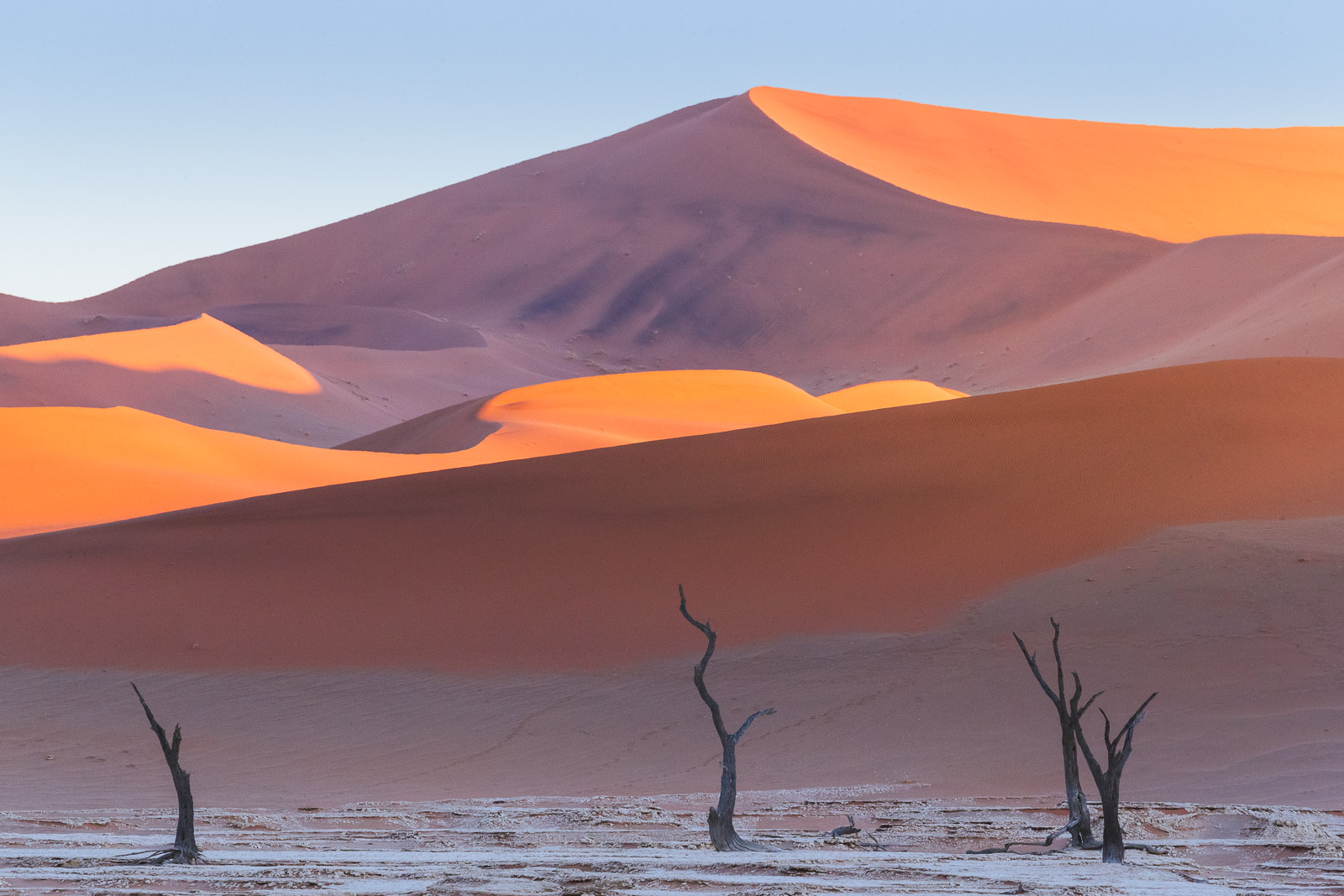 07383812082024225 ©SimonePaleari