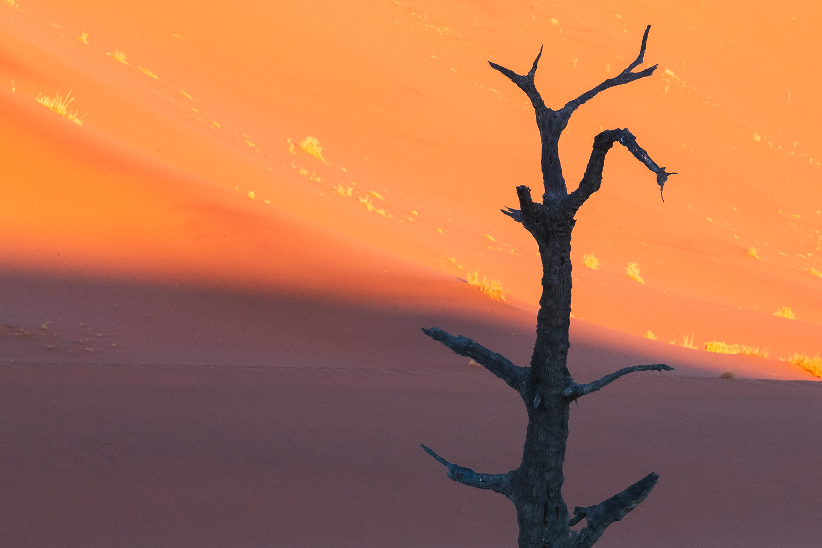 07415612082024225 ©SimonePaleari