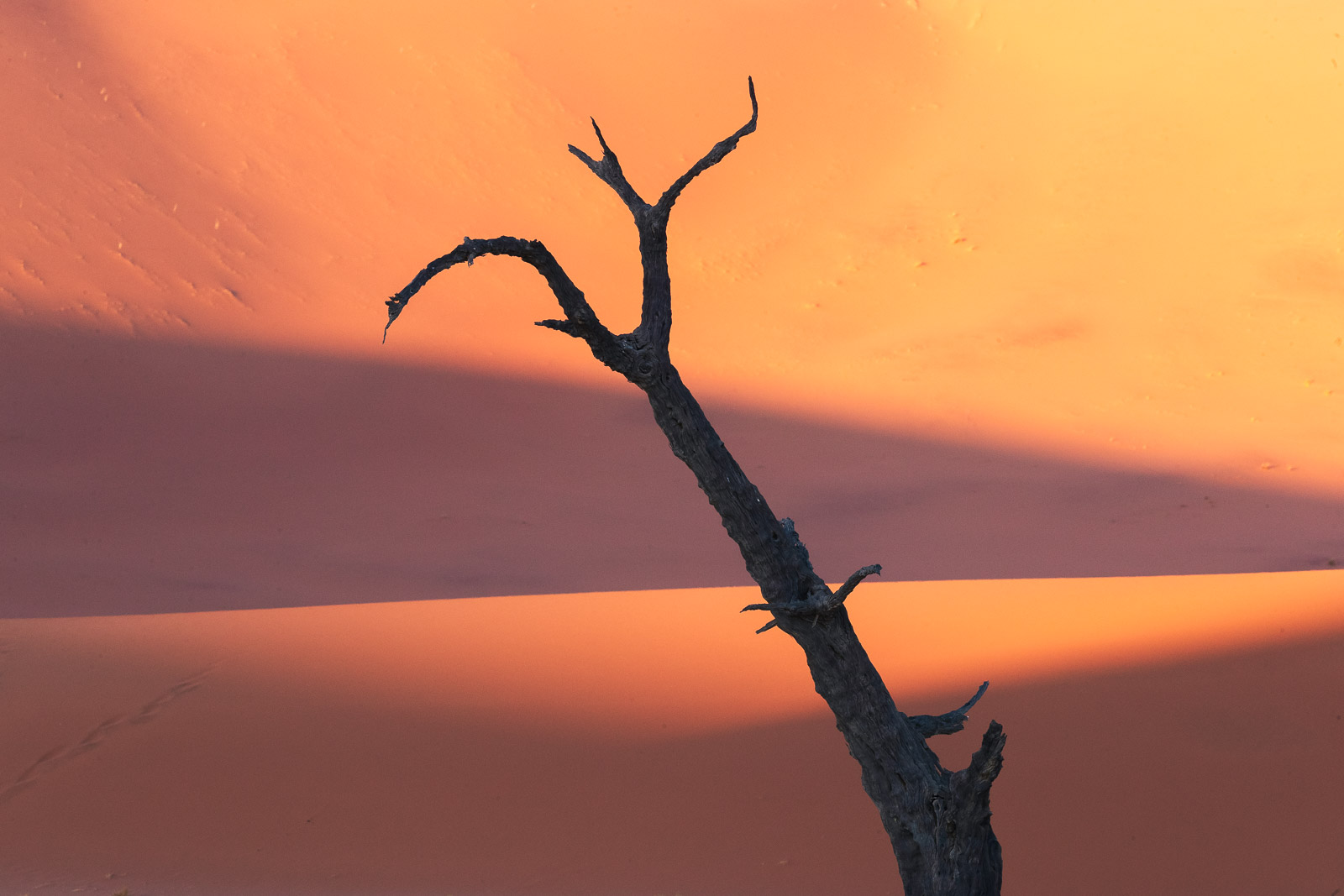 07450912082024225 ©SimonePaleari