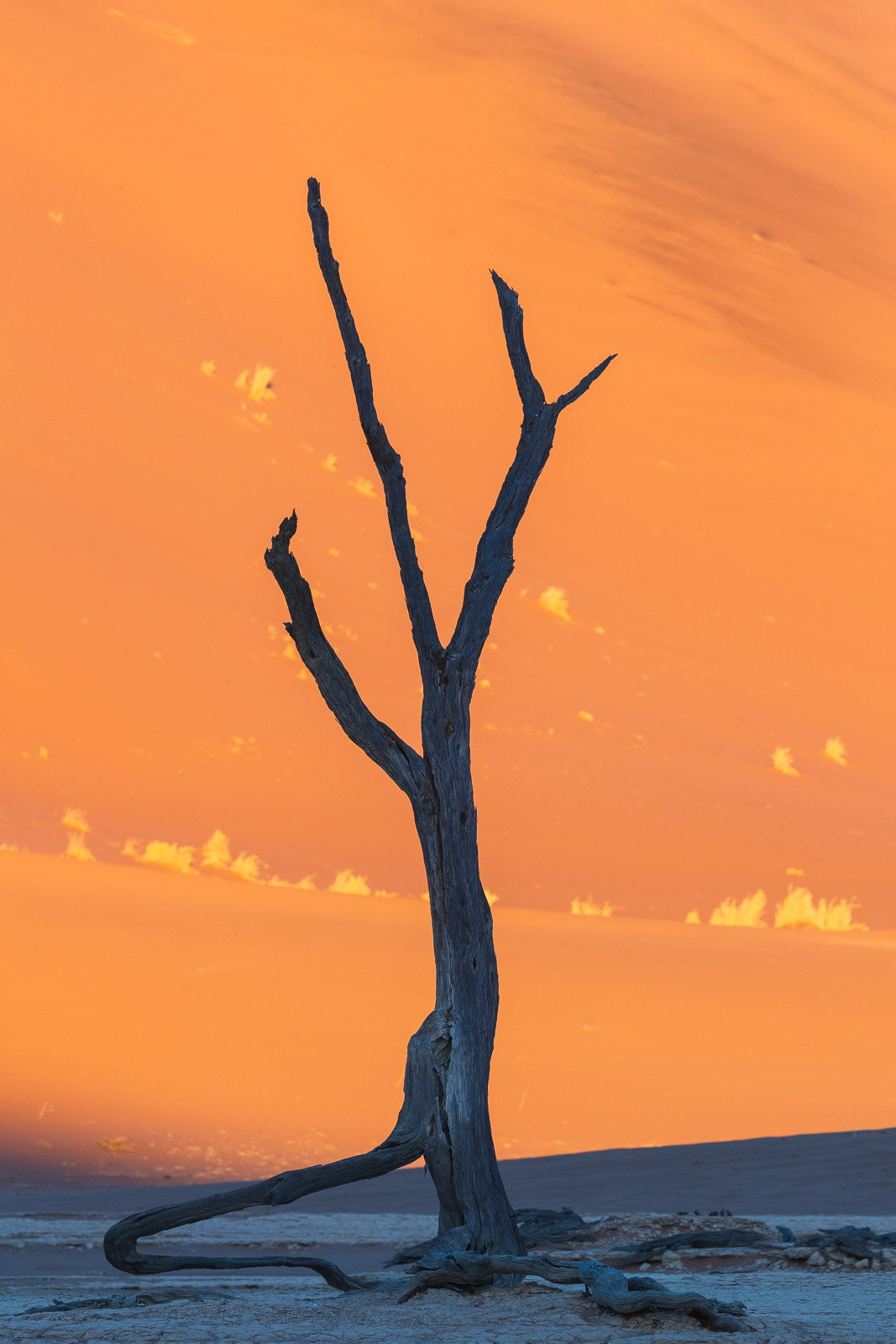 07480912082024225 ©SimonePaleari