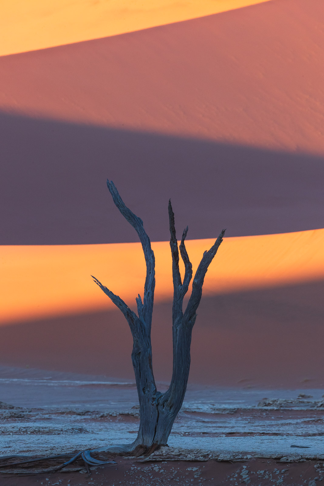 07494112082024225 ©SimonePaleari