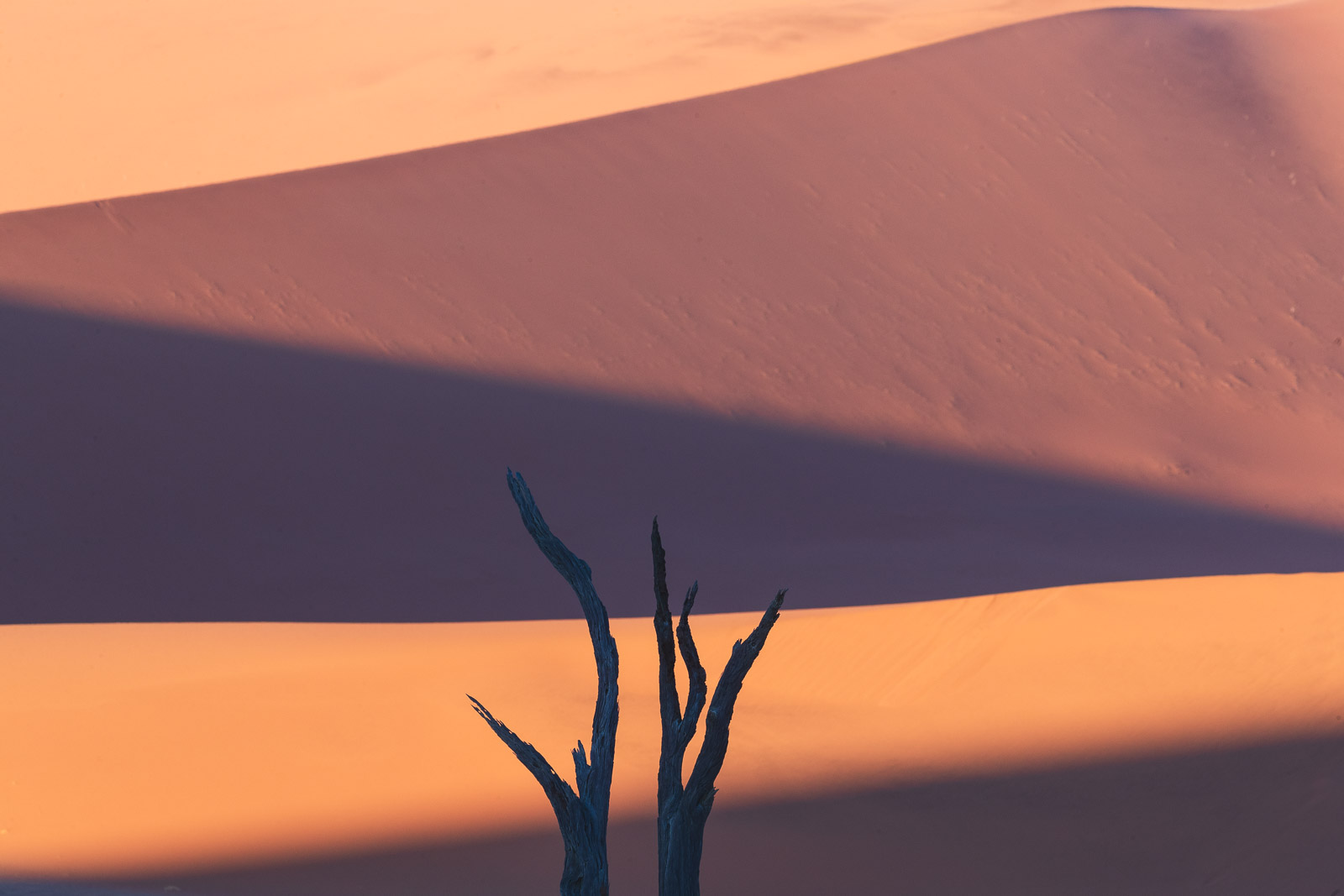 07515012082024225 ©SimonePaleari