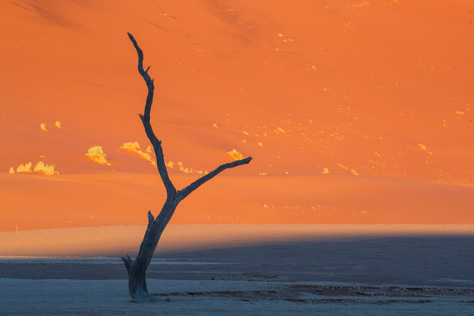 07525612082024225 ©SimonePaleari