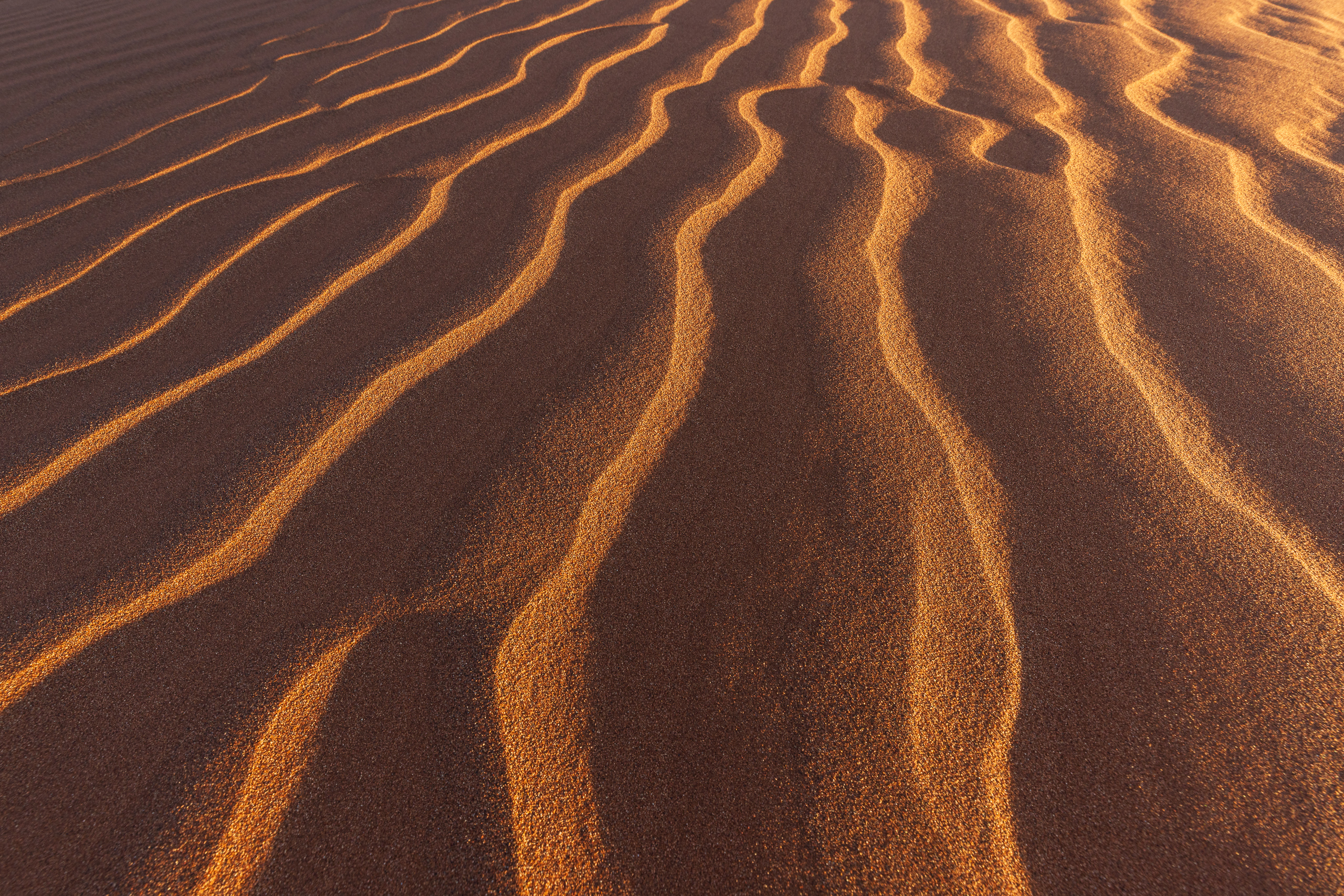 07544109082024222 ©SimonePaleari