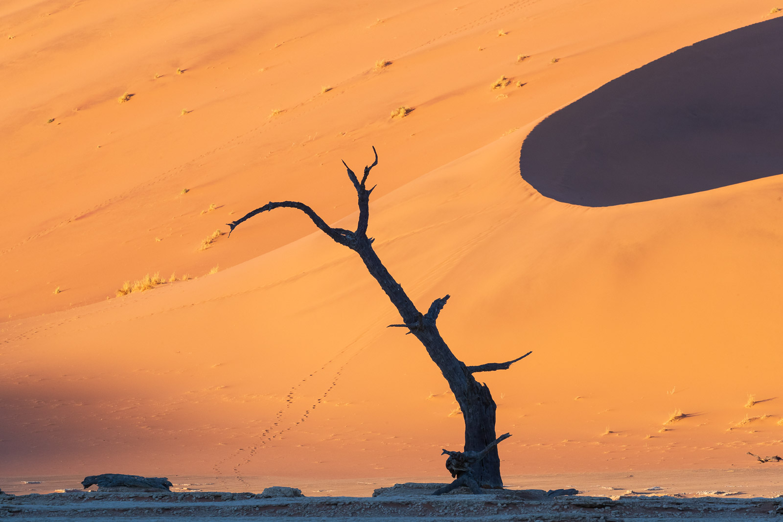 07553912082024225 ©SimonePaleari