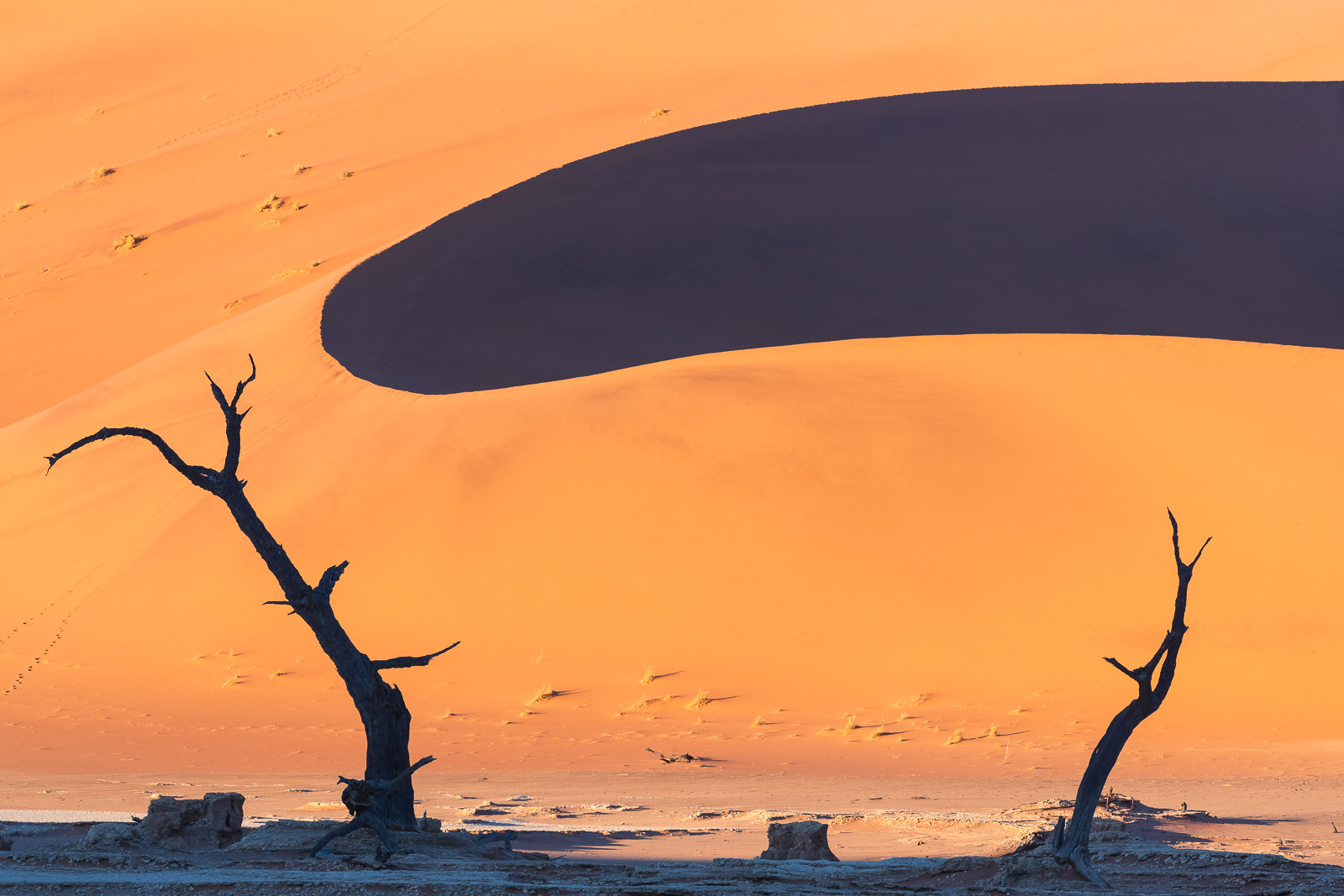 07573412082024225 ©SimonePaleari