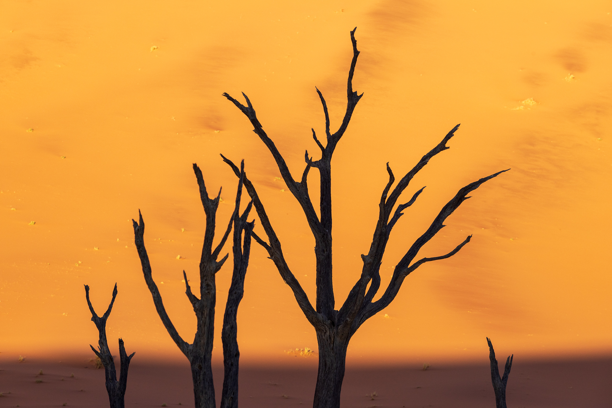 08003711082024224 ©SimonePaleari