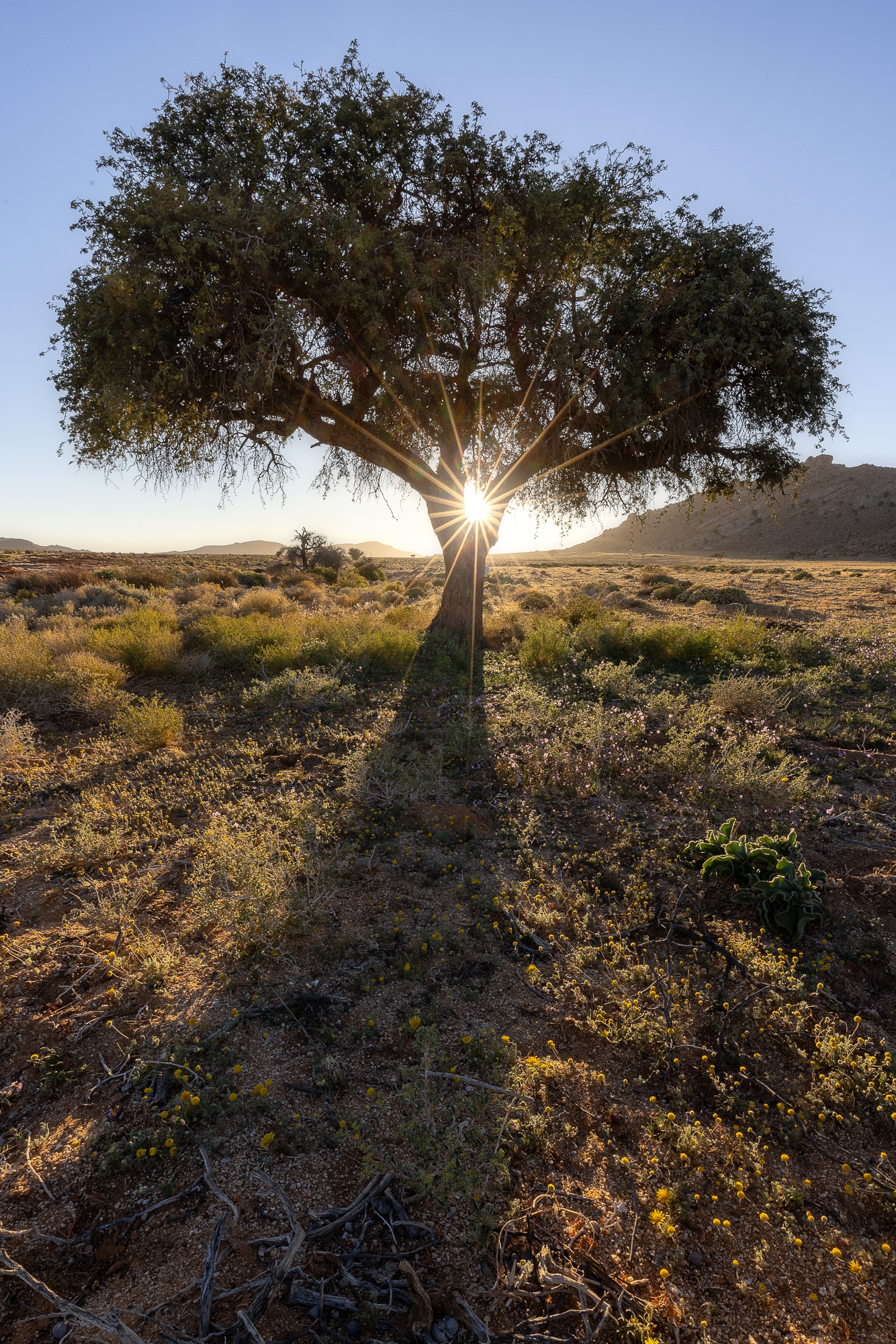 08033508082024221 ©SimonePaleari