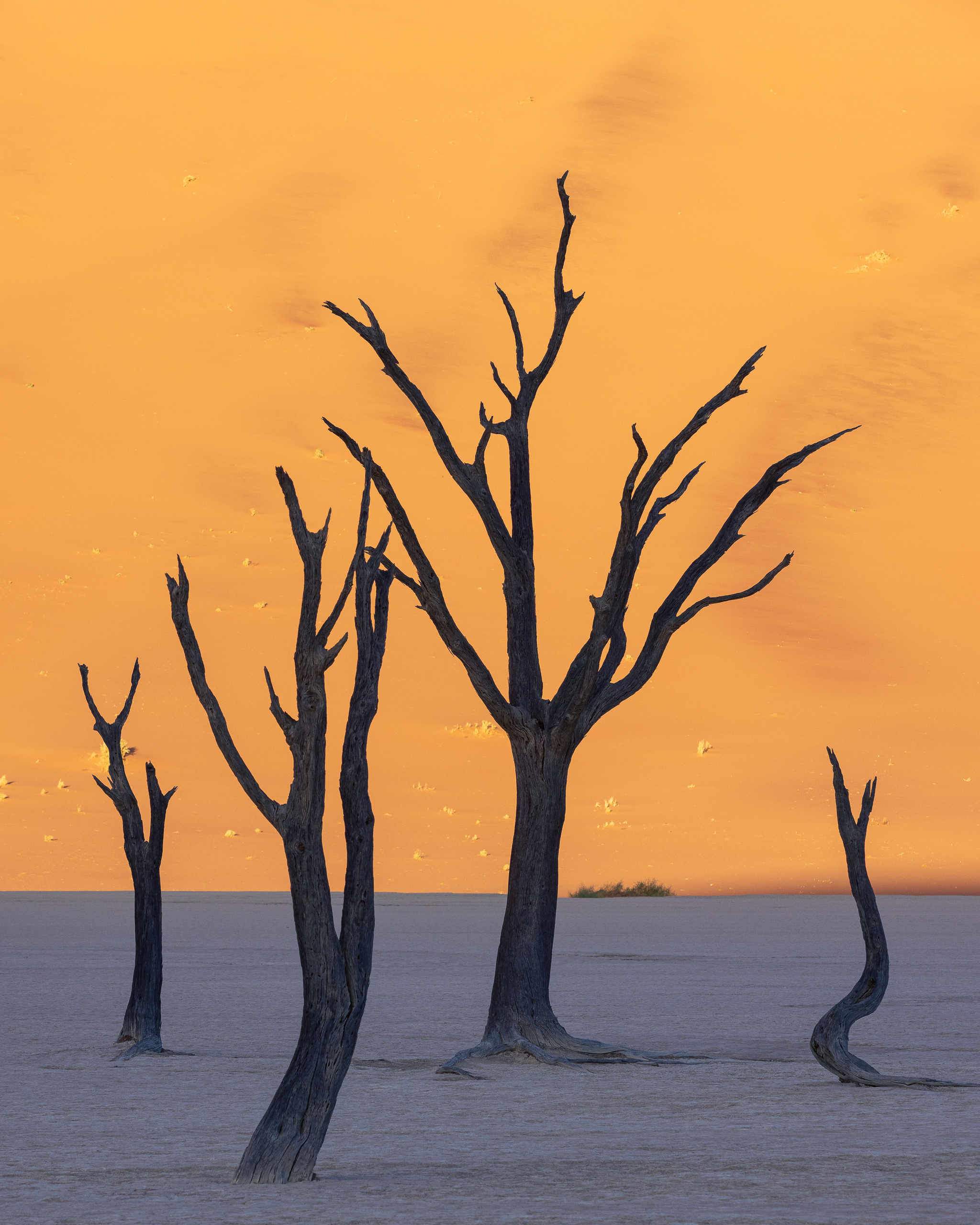 08100611082024224 ©SimonePaleari