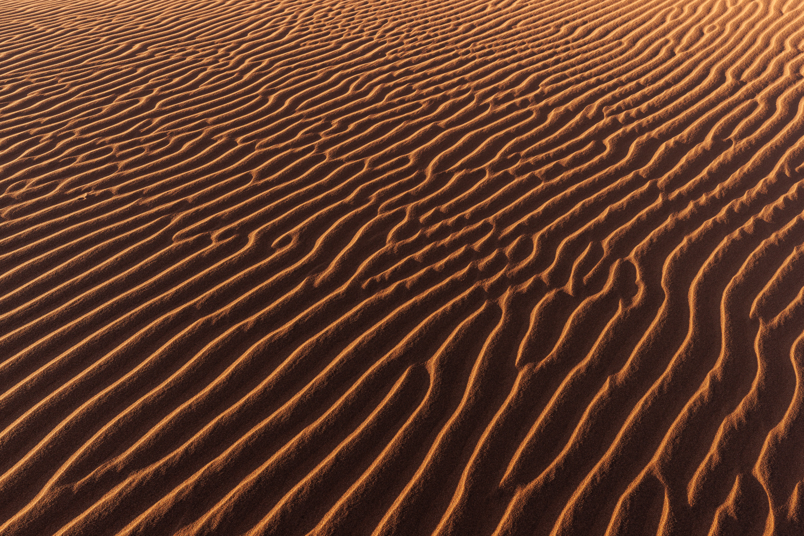 08101309082024222 ©SimonePaleari