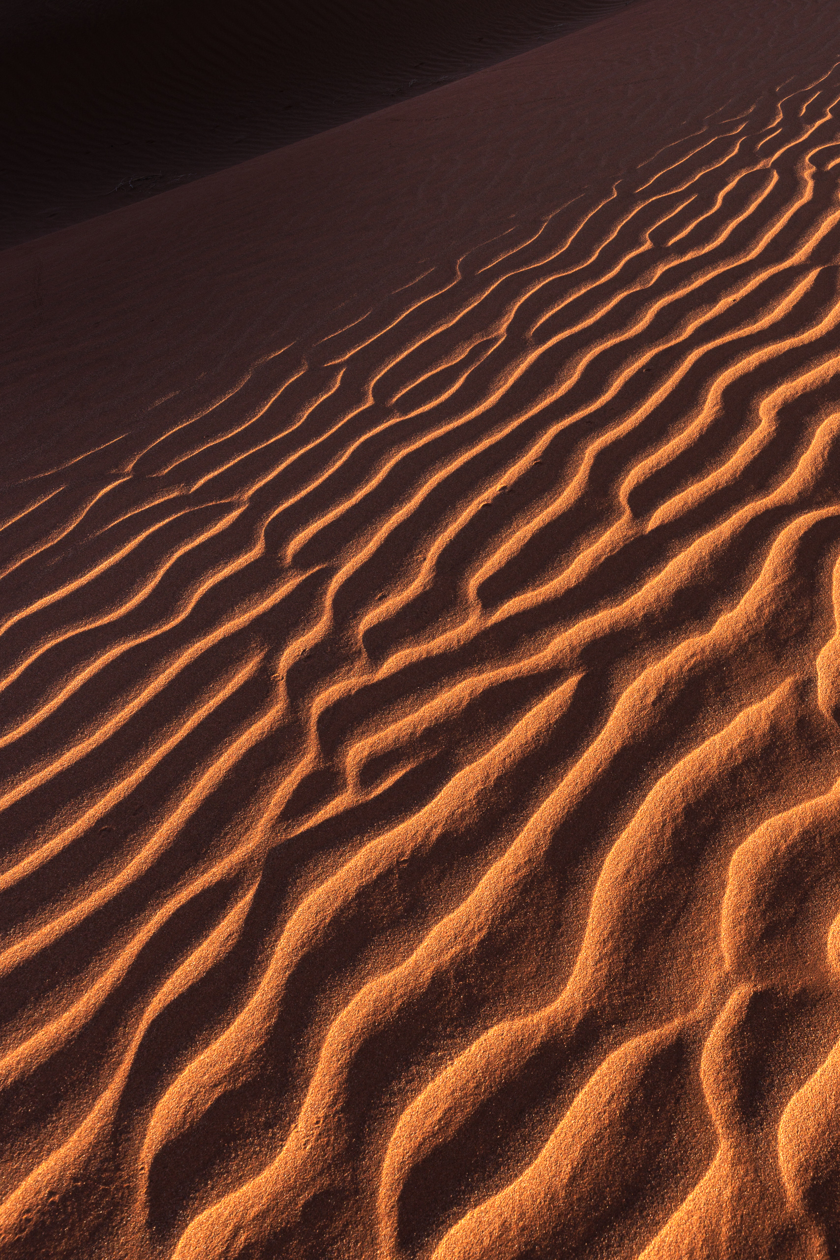 08200509082024222 ©SimonePaleari