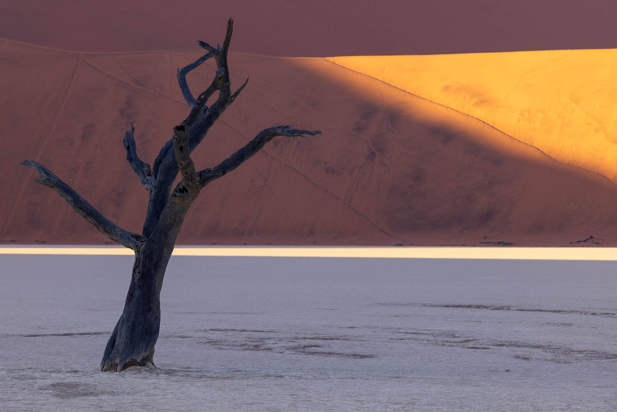 08213211082024224 ©SimonePaleari