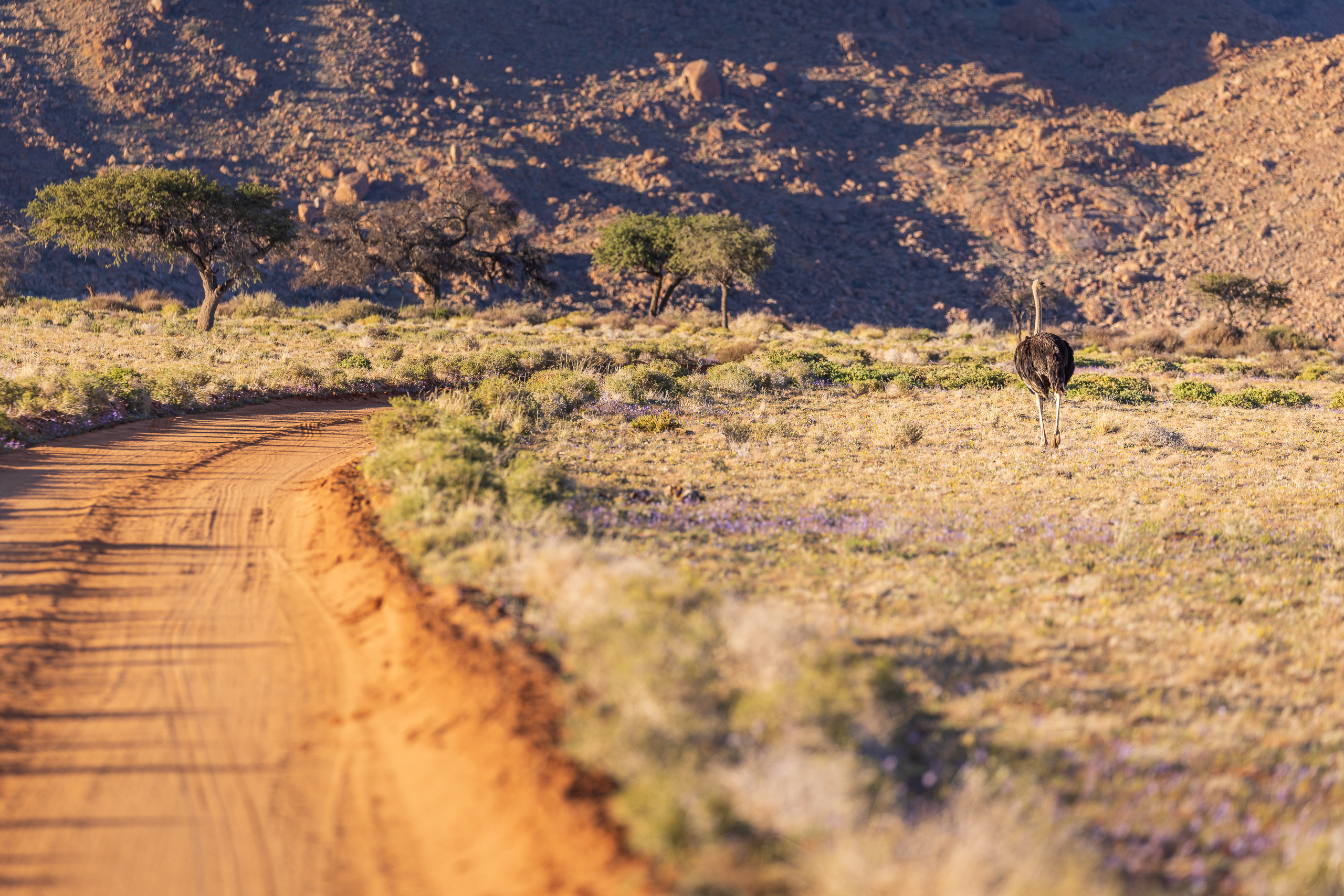 08232808082024221 ©SimonePaleari