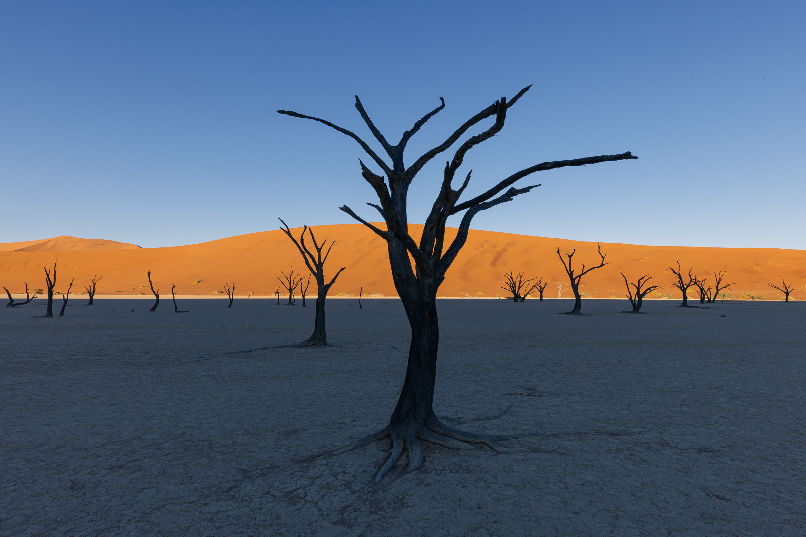 08283712082024225 ©SimonePaleari