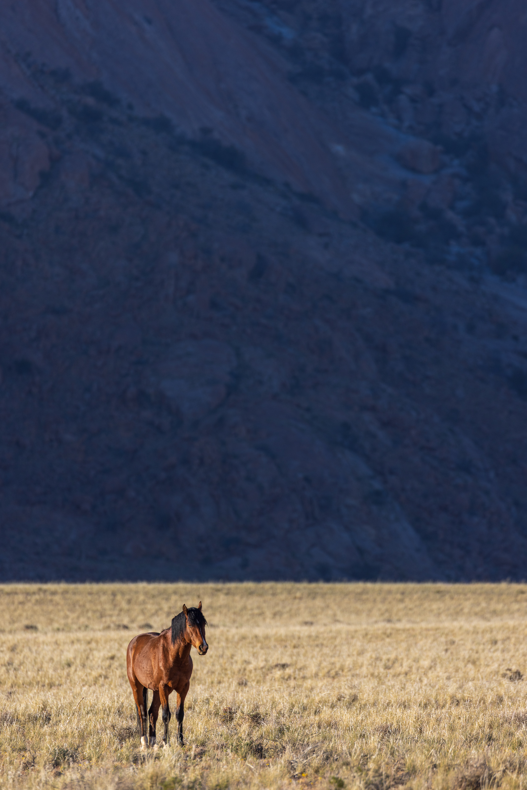 08404208082024221 ©SimonePaleari