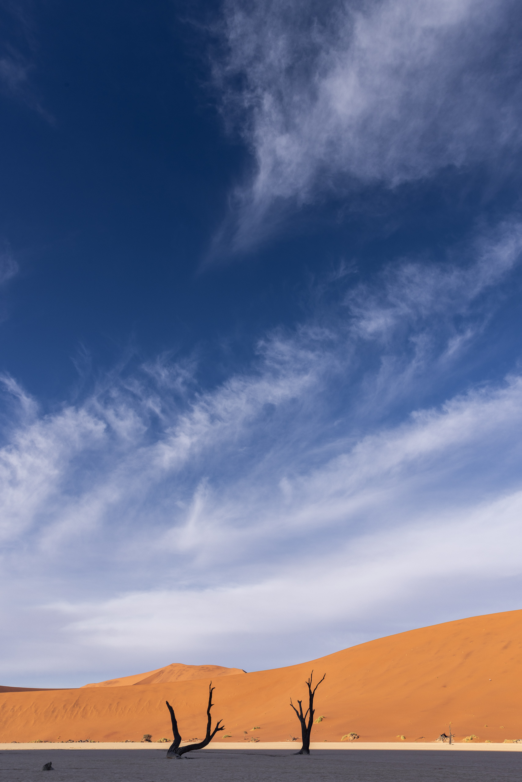 08423111082024224 ©SimonePaleari