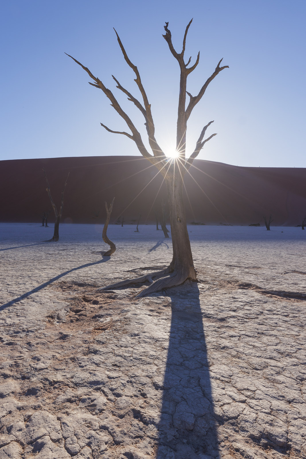 08474212082024225 2©SimonePaleari