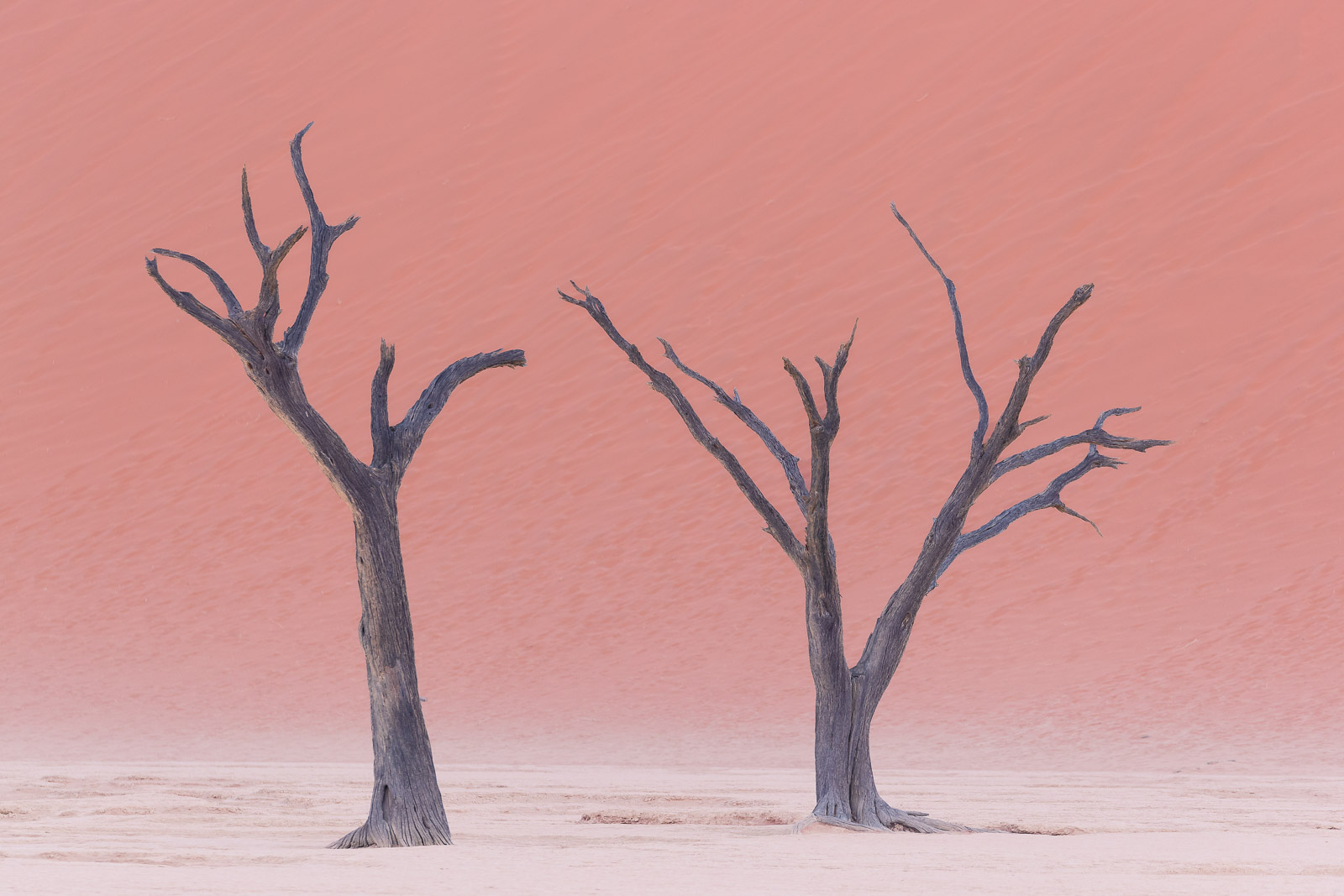 09023211082024224 ©SimonePaleari