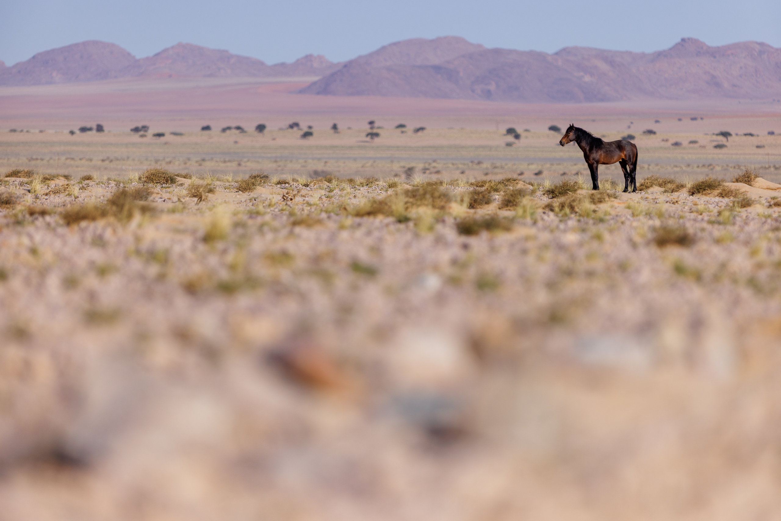 16525707082024220 ©SimonePaleari