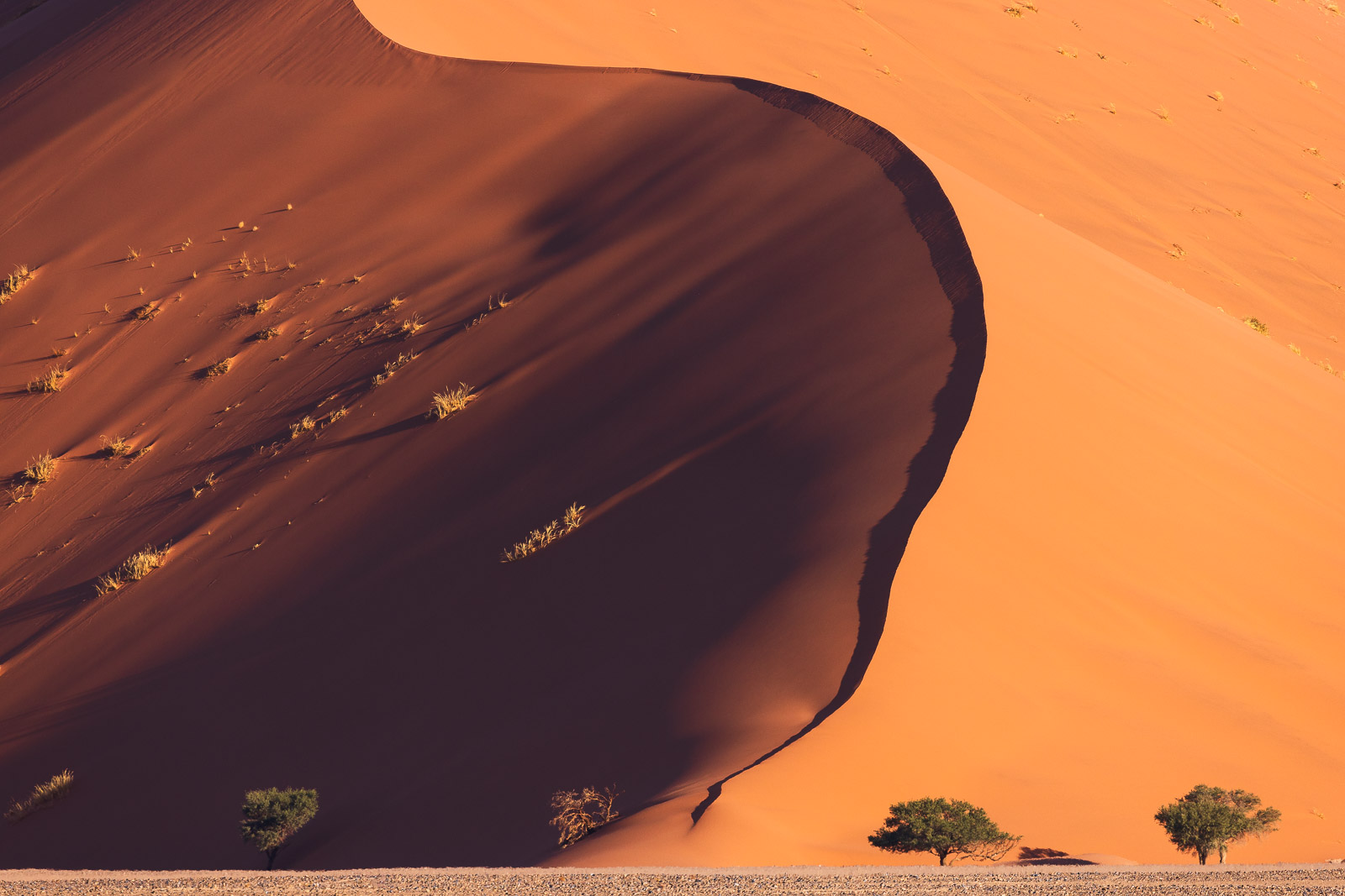 17181311082024224 ©SimonePaleari