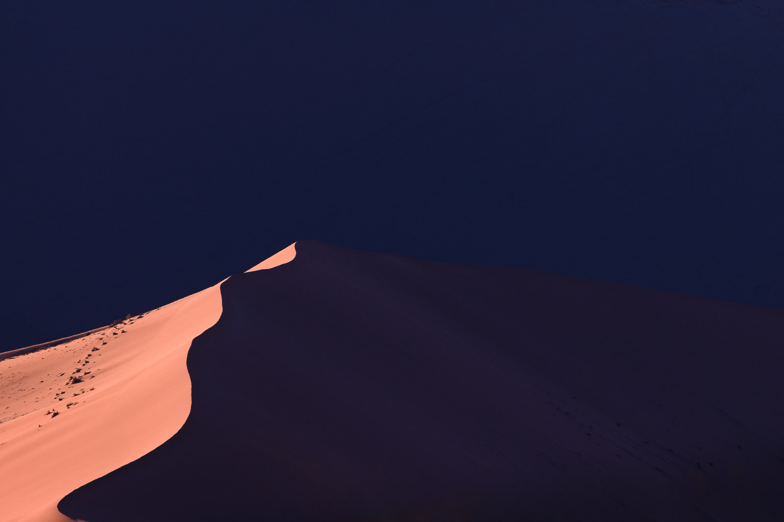 17240511082024224 ©SimonePaleari