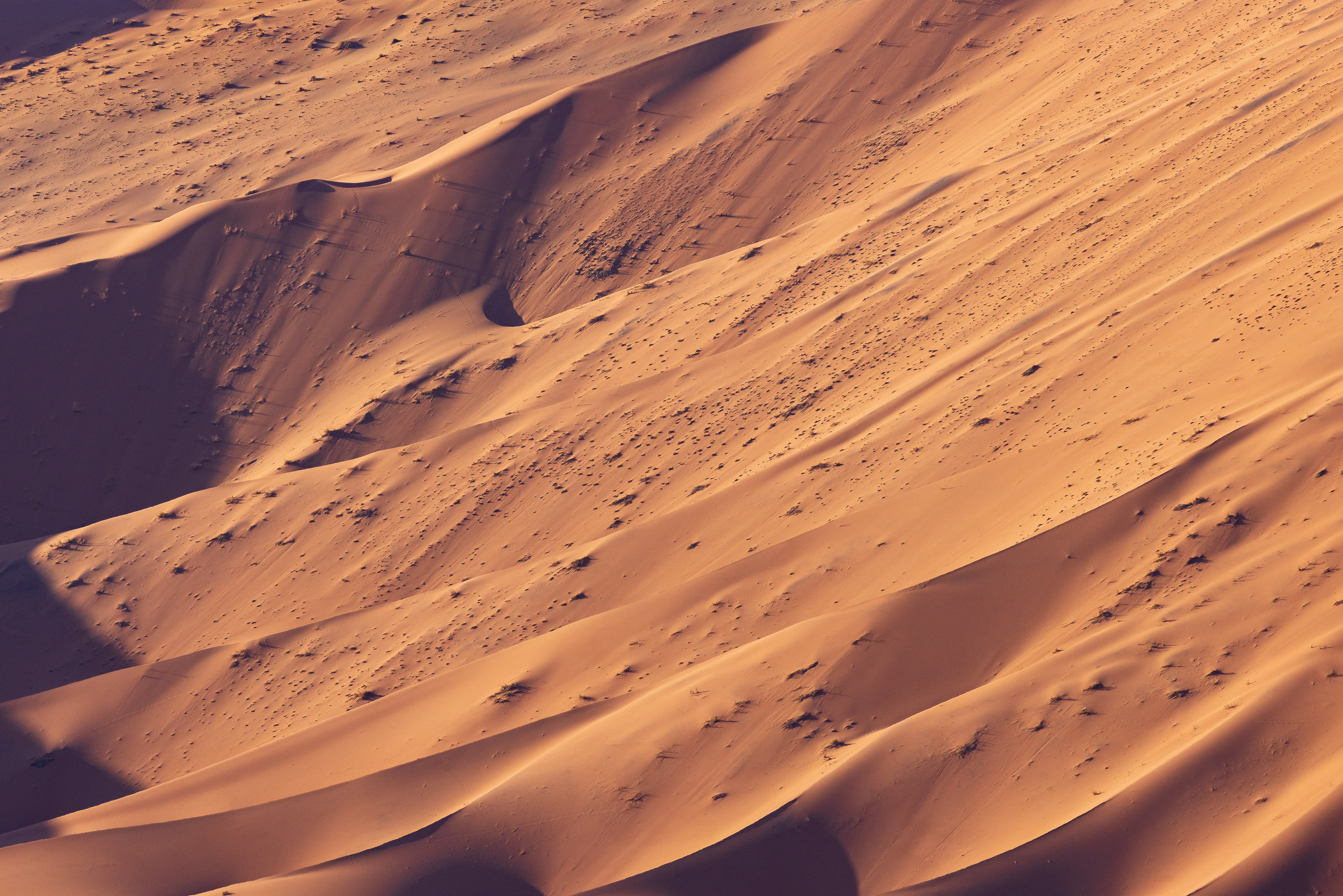 17263311082024224 ©SimonePaleari