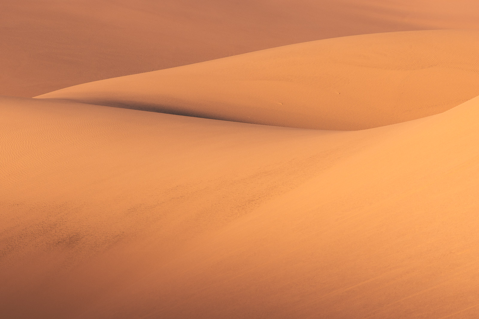 17351913082024226 ©SimonePaleari