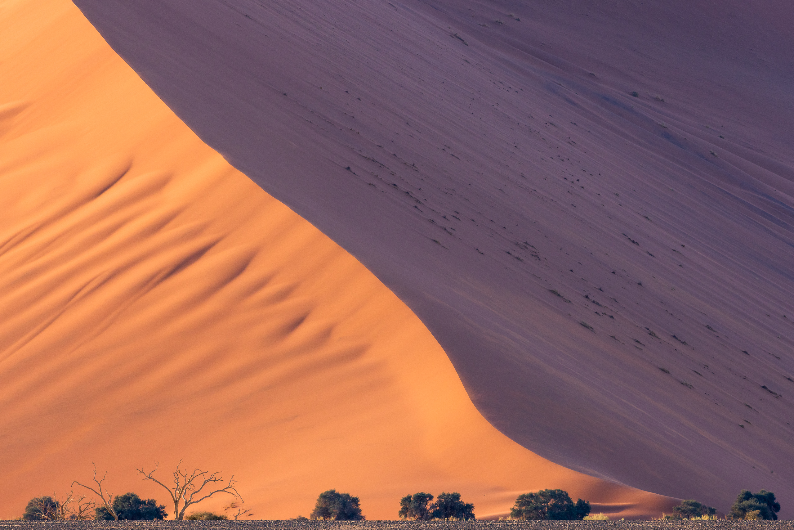 17413111082024224 ©SimonePaleari