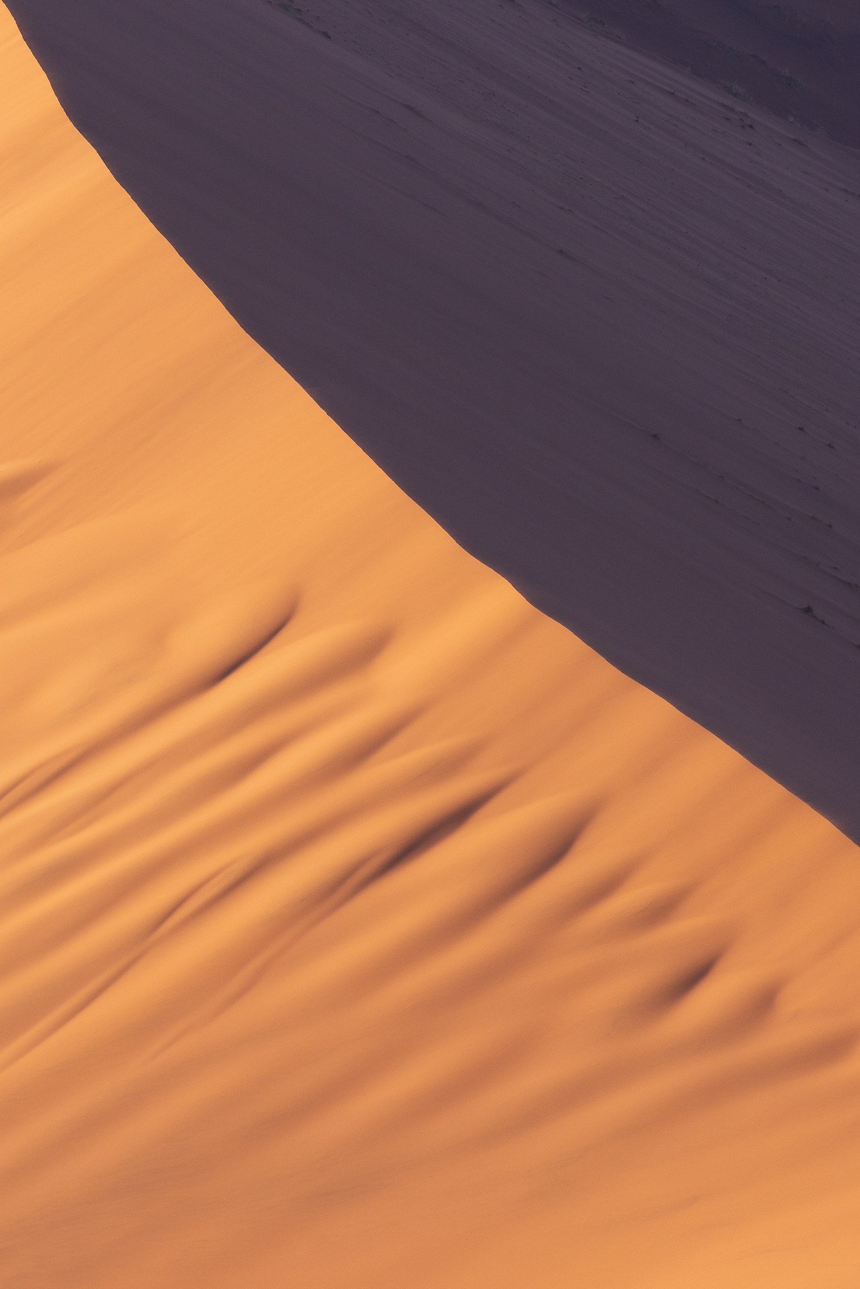 17483011082024224 ©SimonePaleari