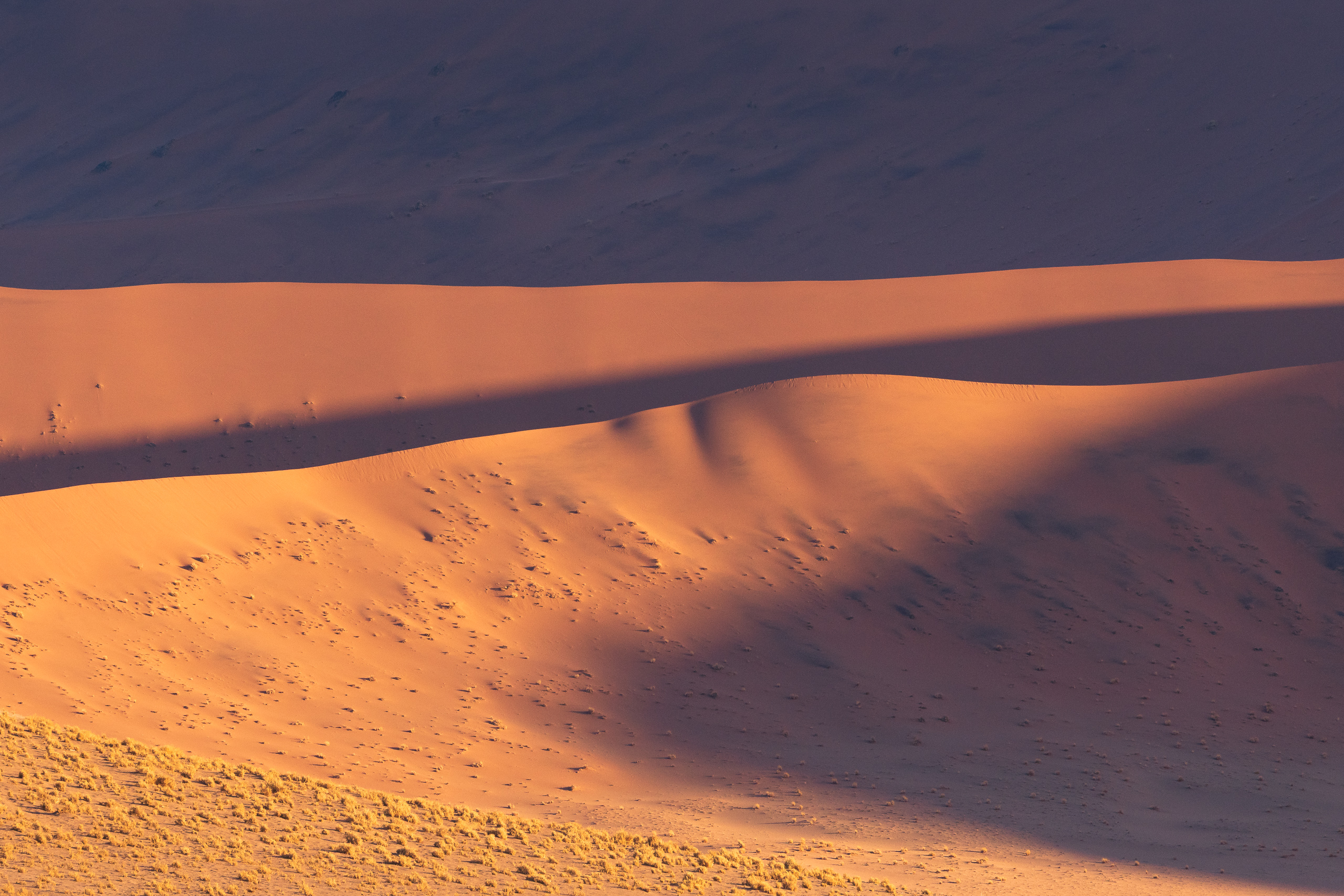 17534311082024224 ©SimonePaleari