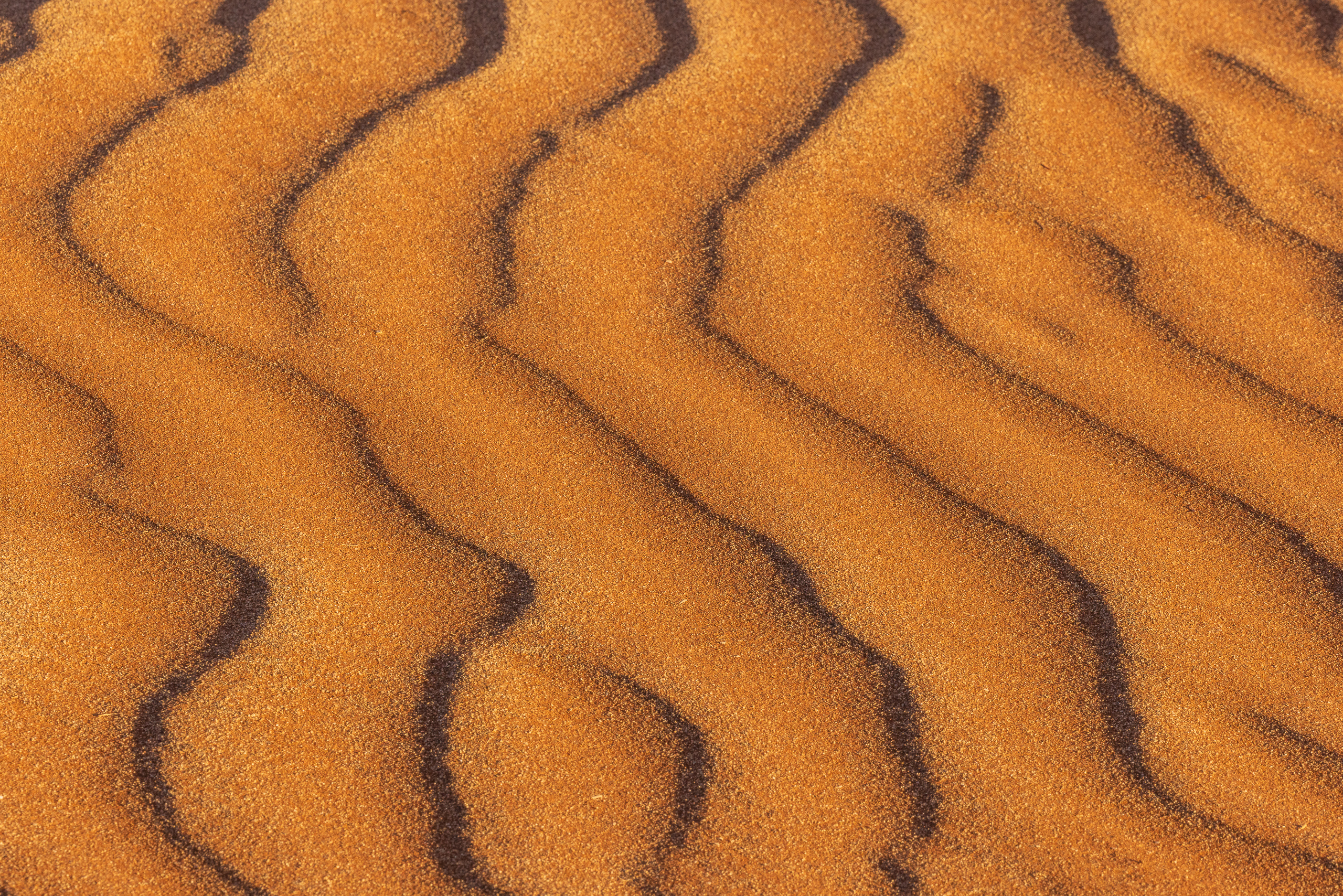 18000811082024224 ©SimonePaleari