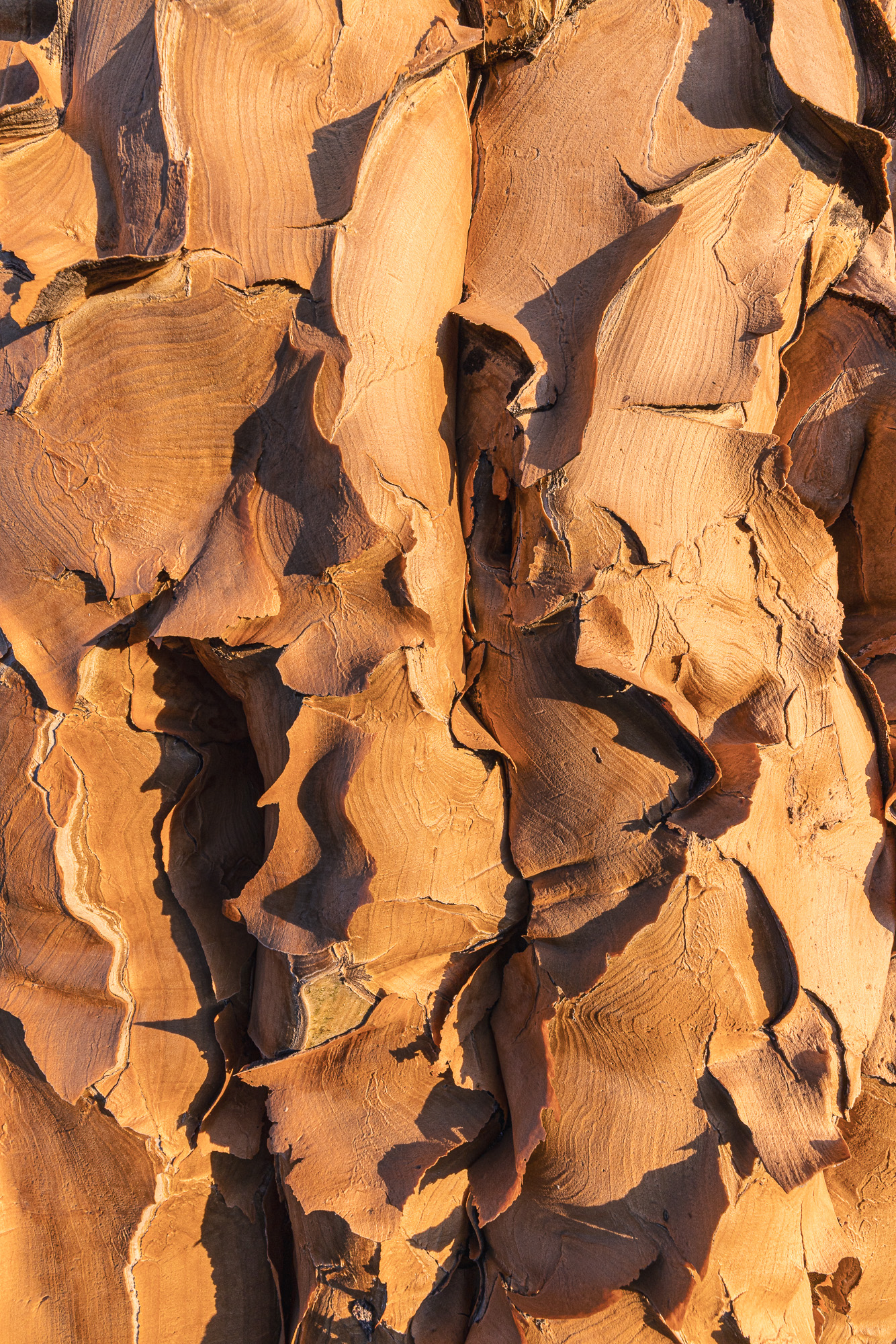 18054205082024218 ©SimonePaleari