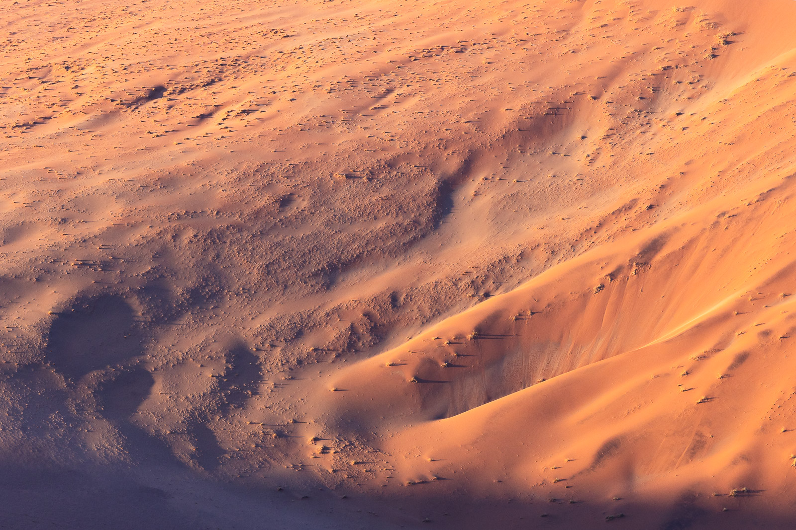 18092111082024224 ©SimonePaleari