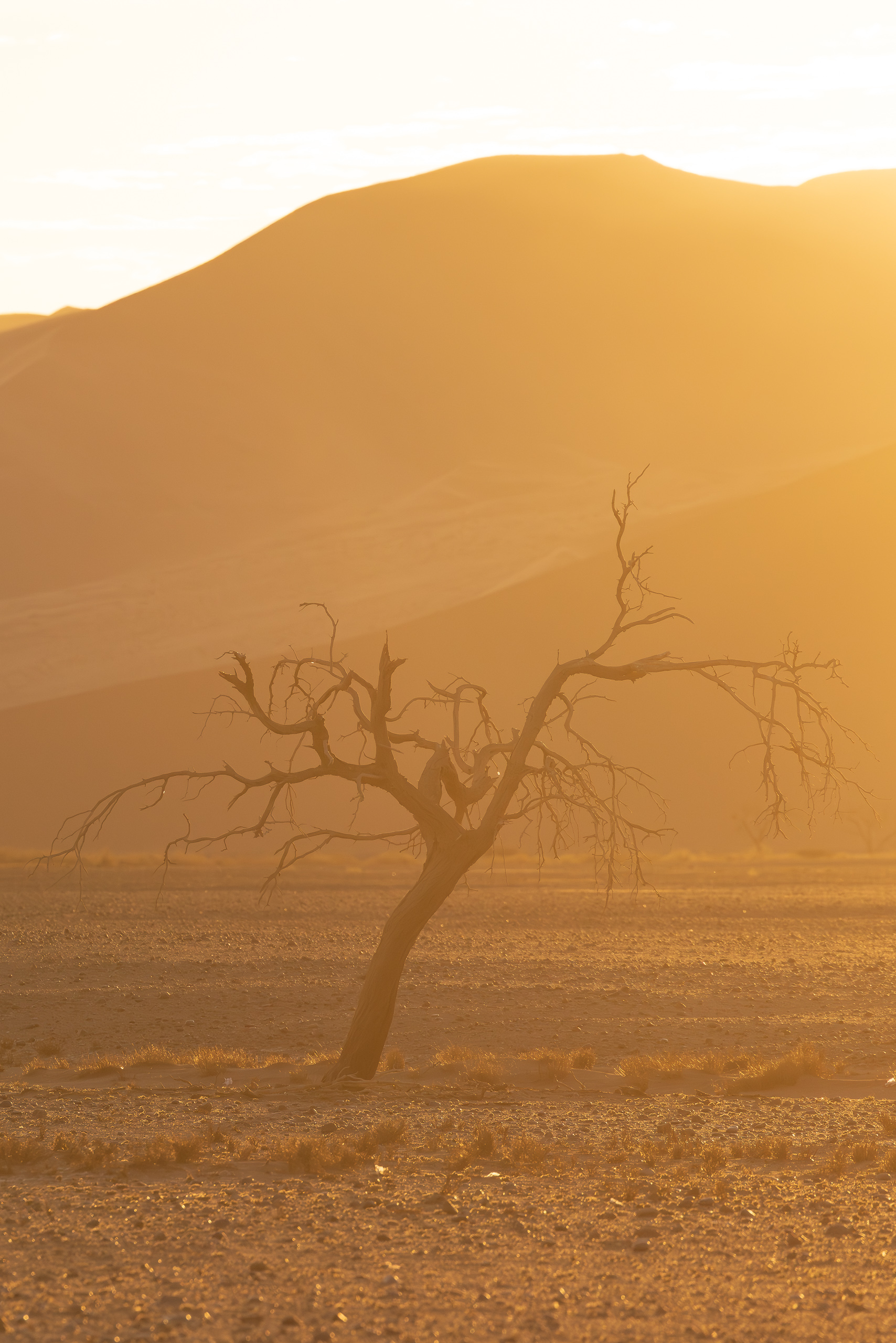 18245411082024224 ©SimonePaleari