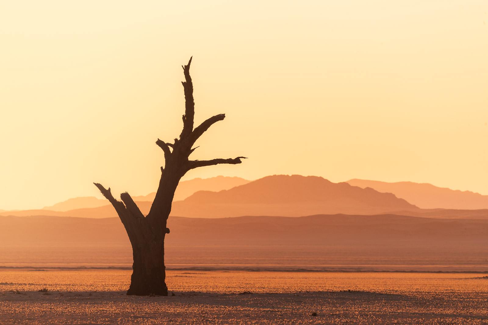 18261208082024221 ©SimonePaleari